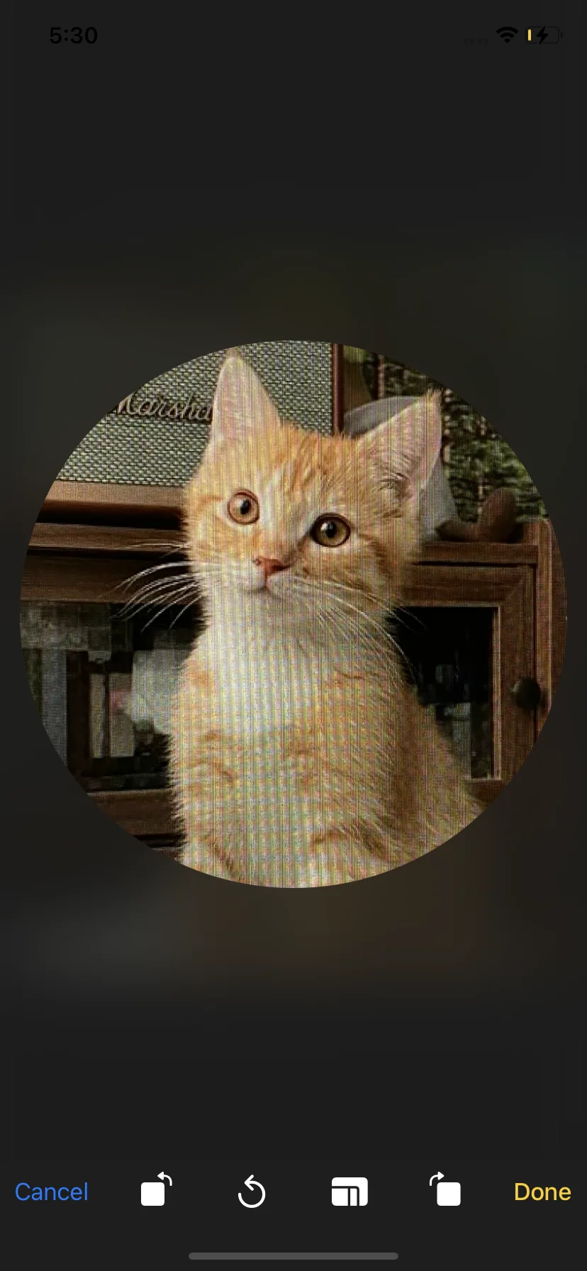 Test Image 10