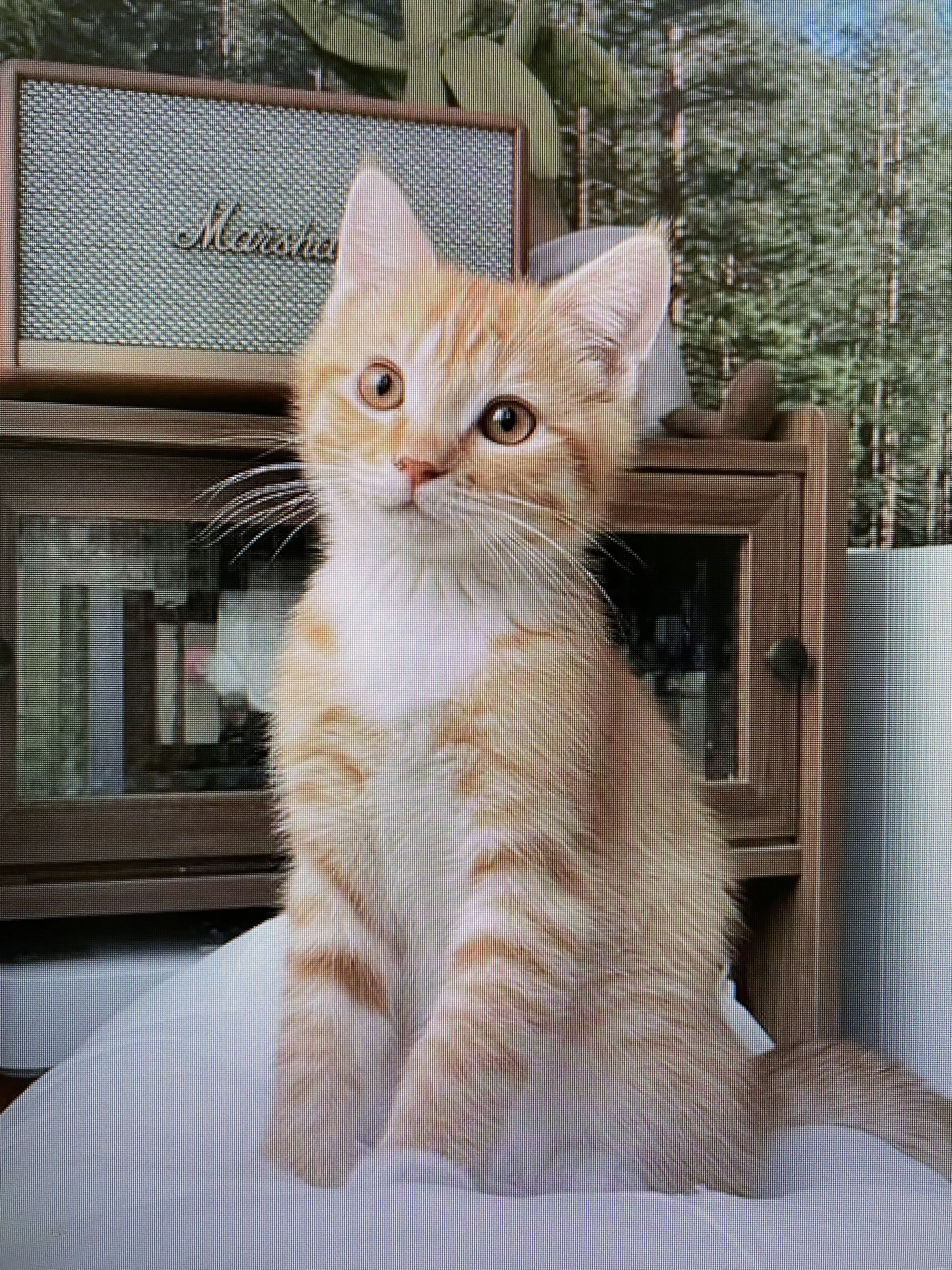 Test Image 11