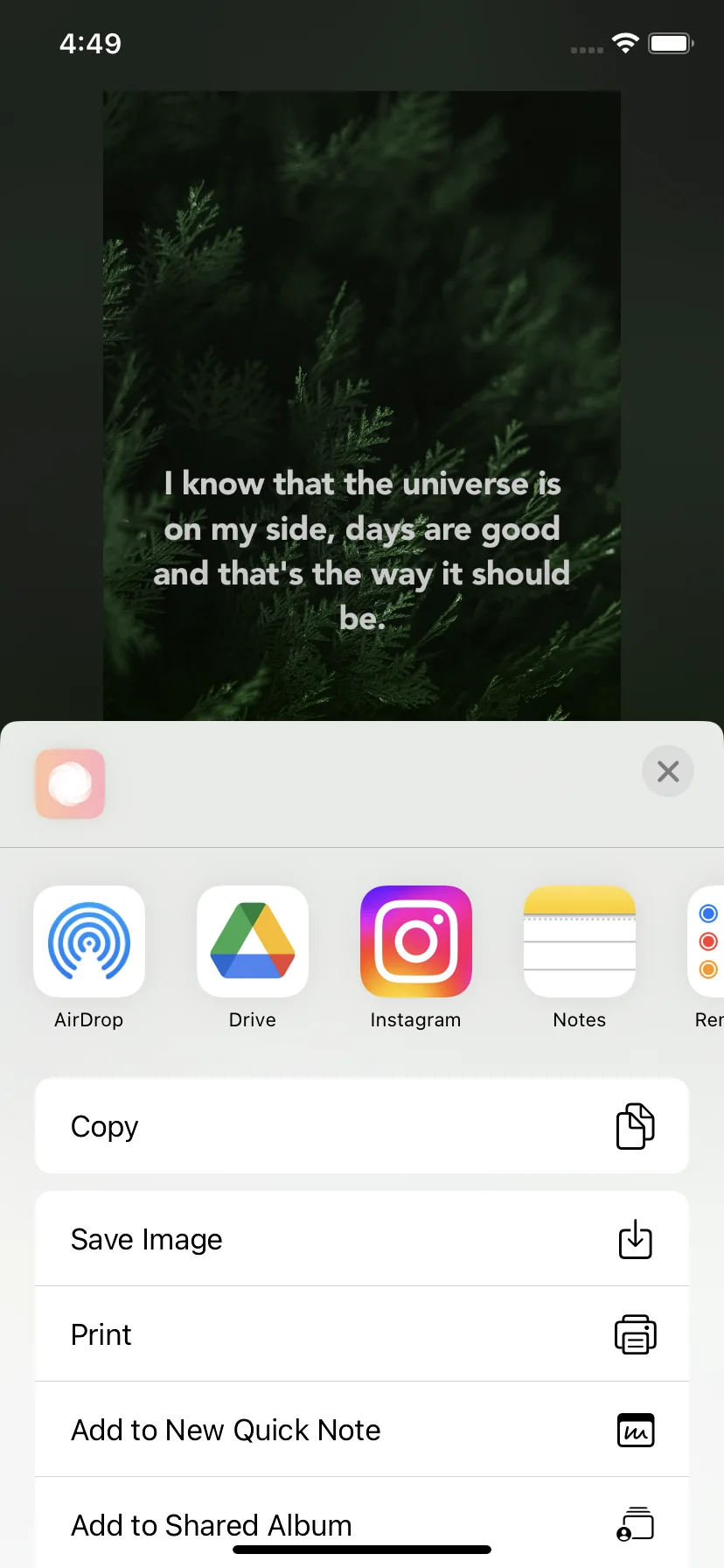 Test Image 6