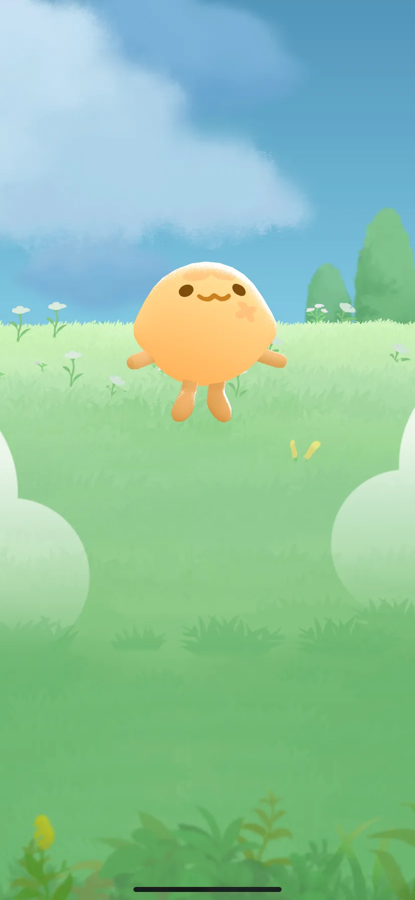 Test Image 25