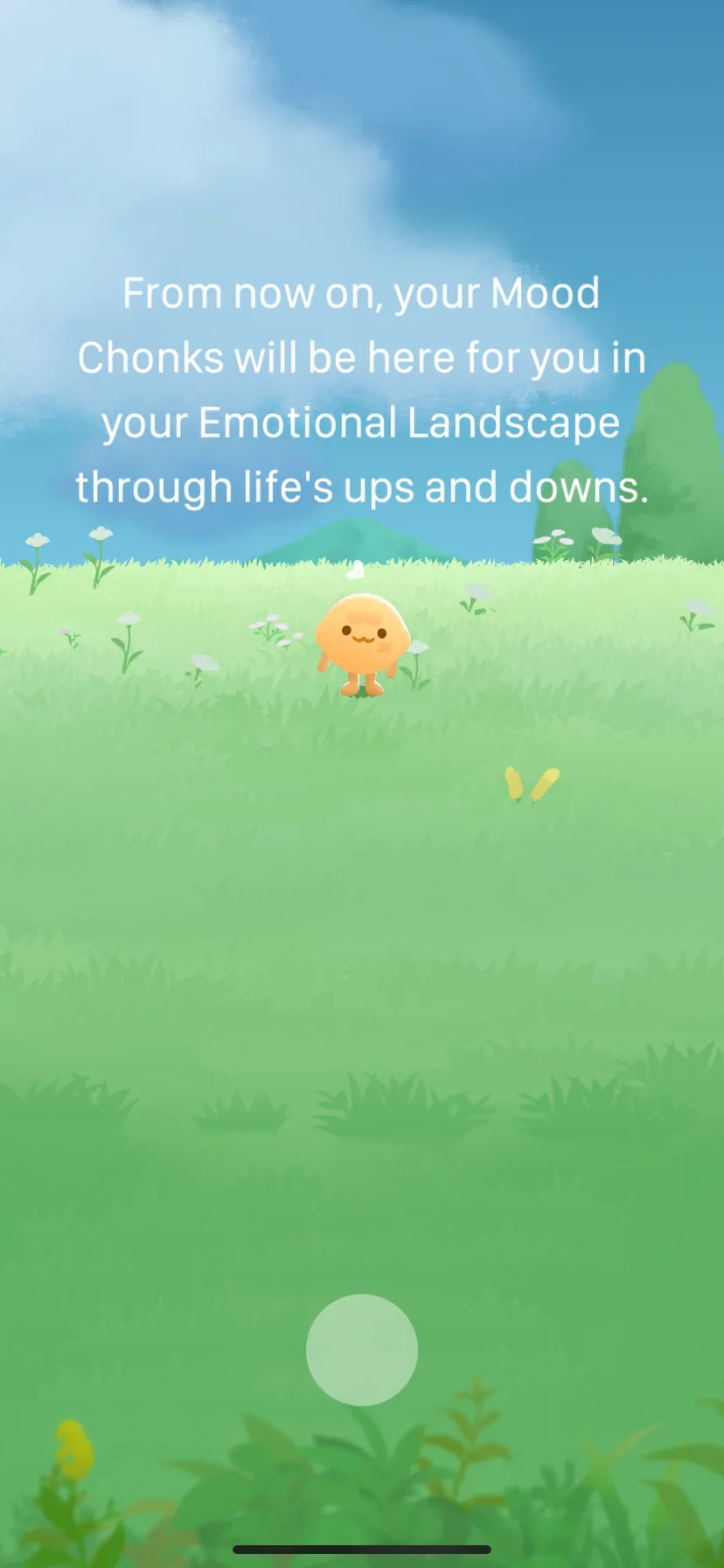 Test Image 28
