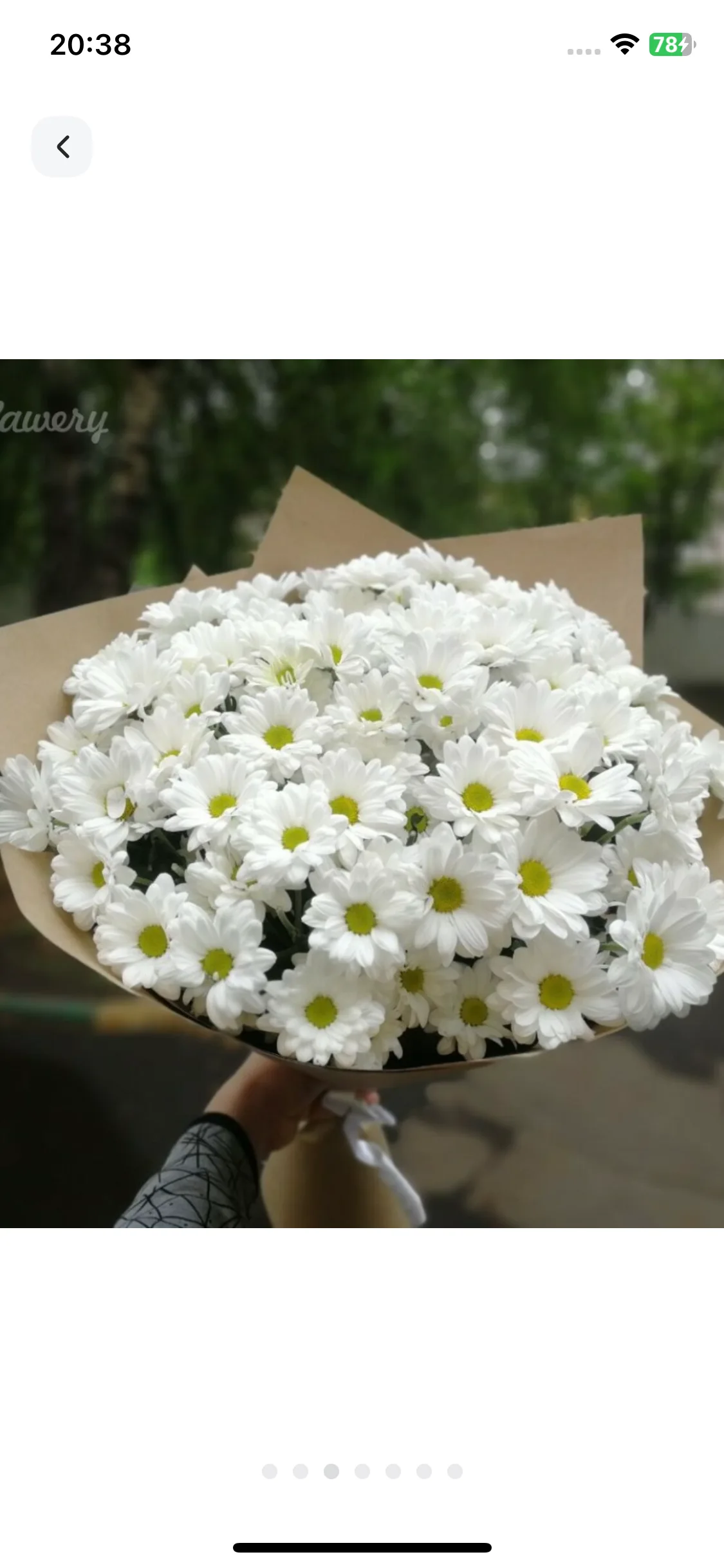 Test Image 3