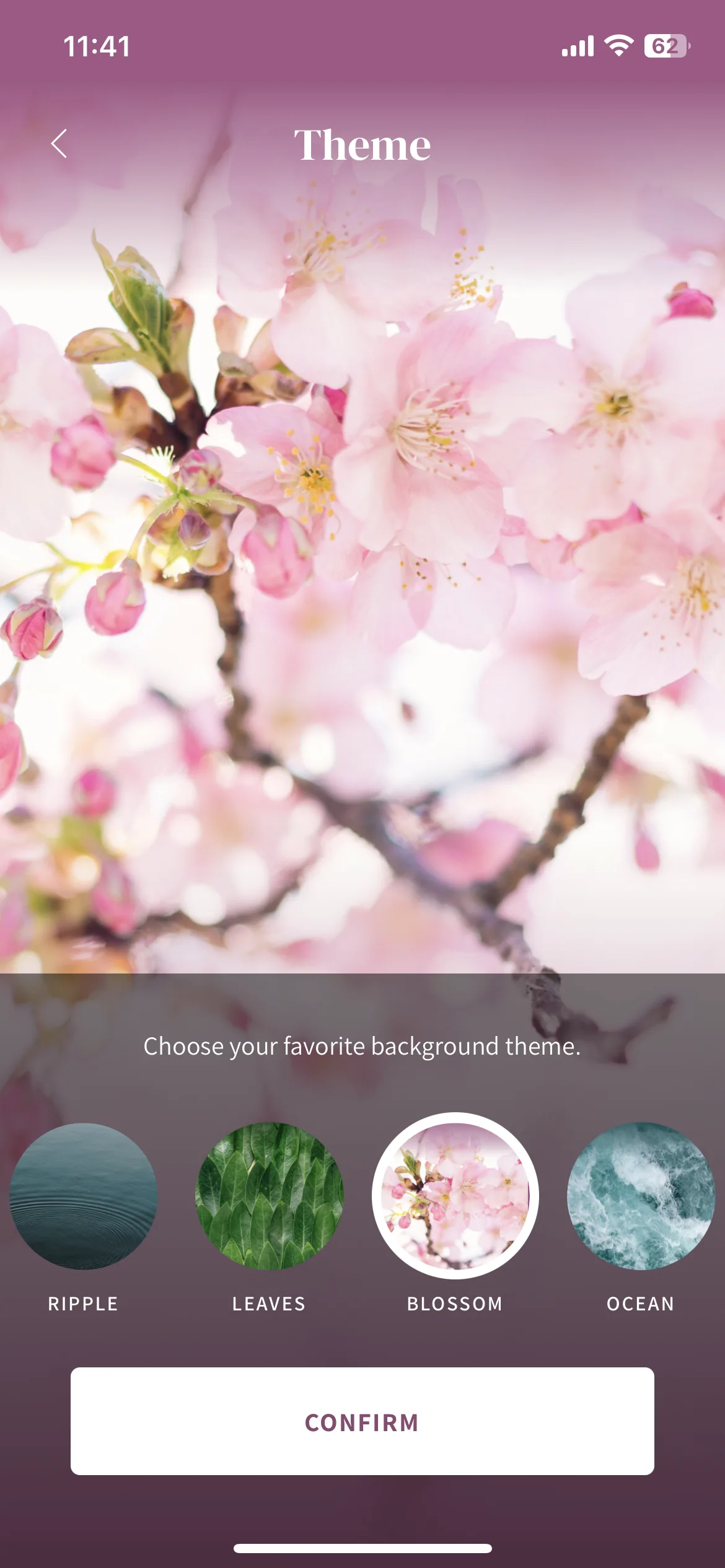 Test Image 3