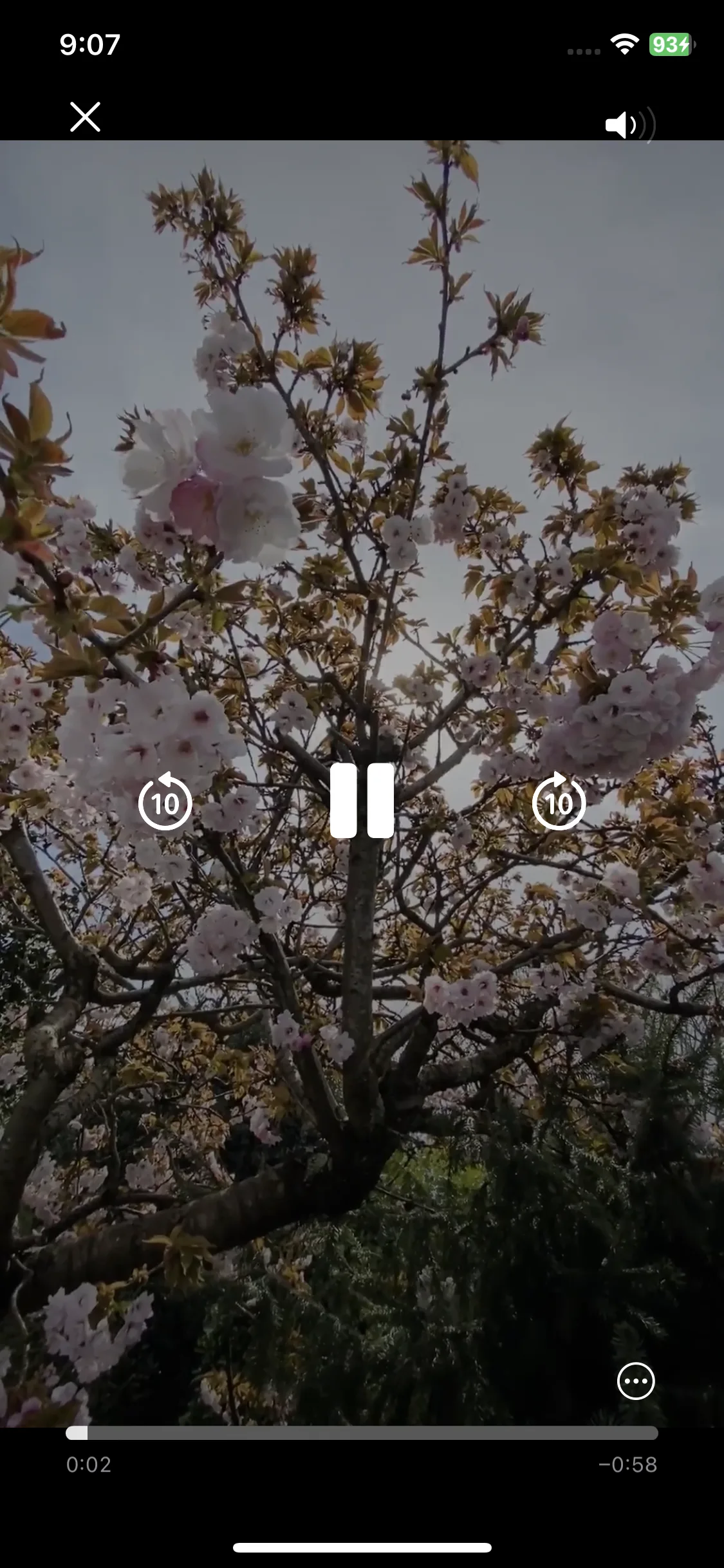 Test Image 11