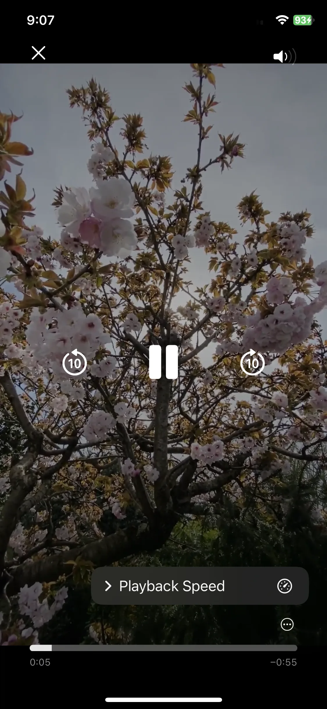 Test Image 12