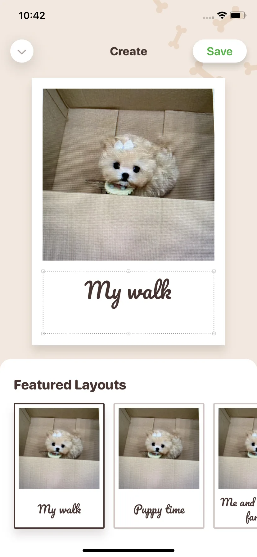 Test Image 13