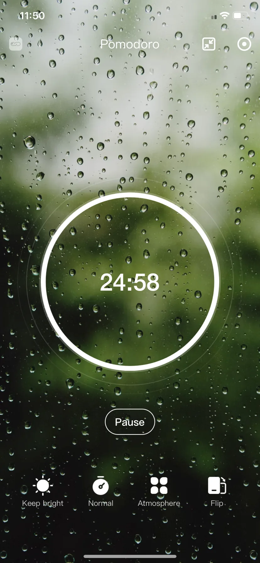 Test Image 24