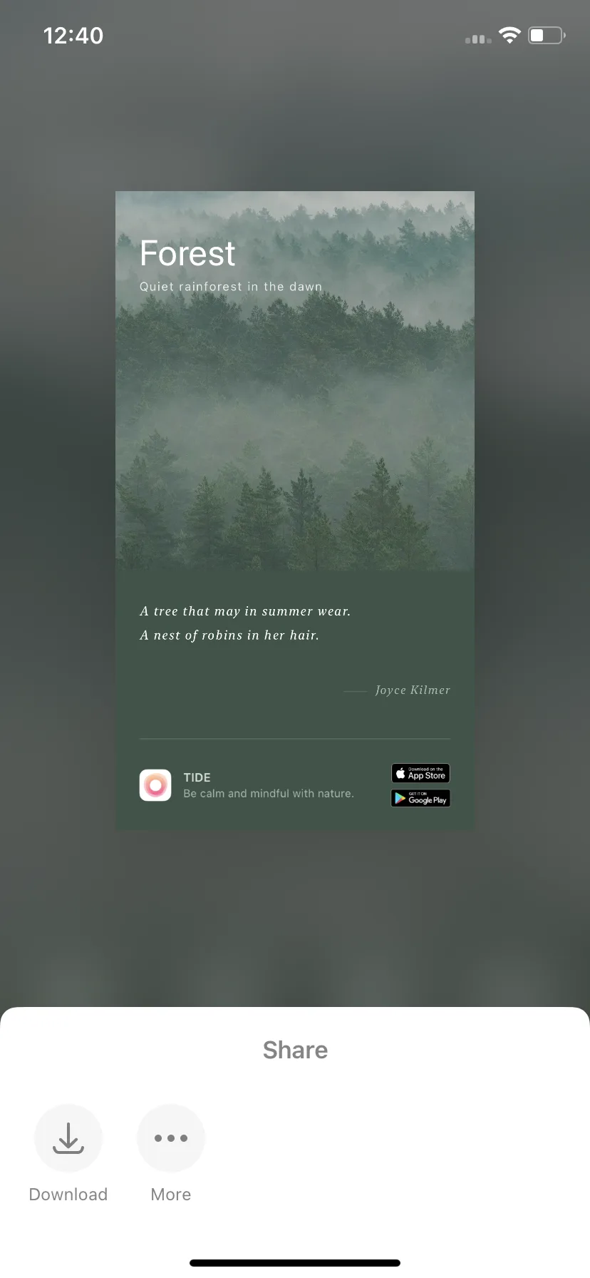 Test Image 11