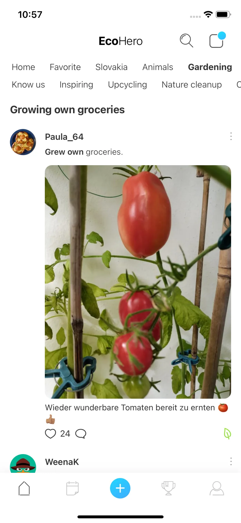 Test Image 11