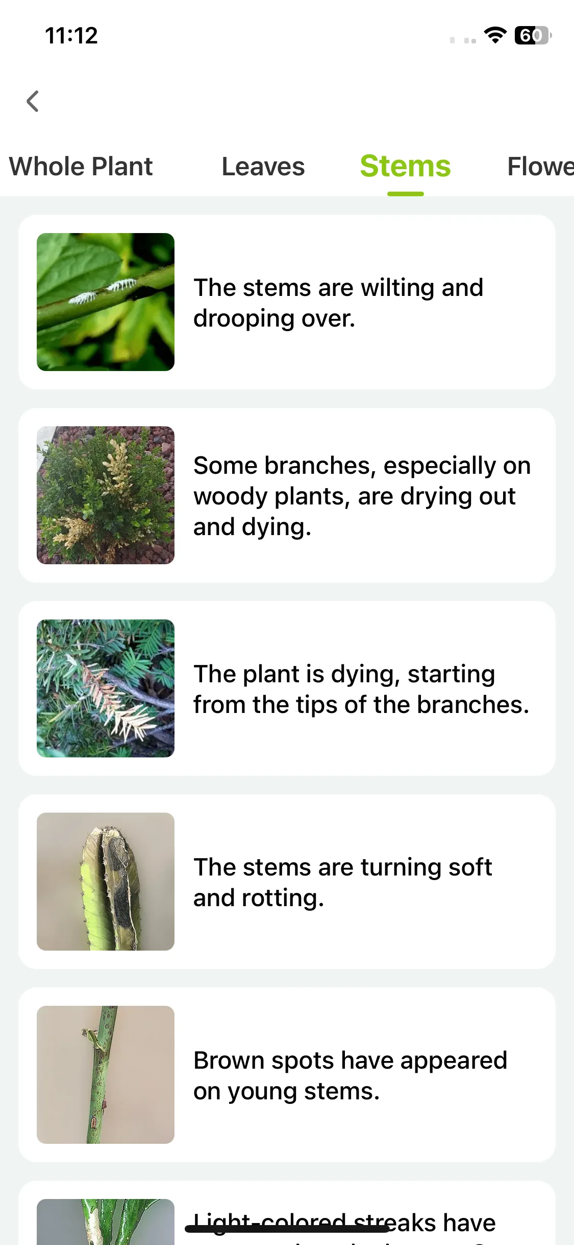 Test Image 4