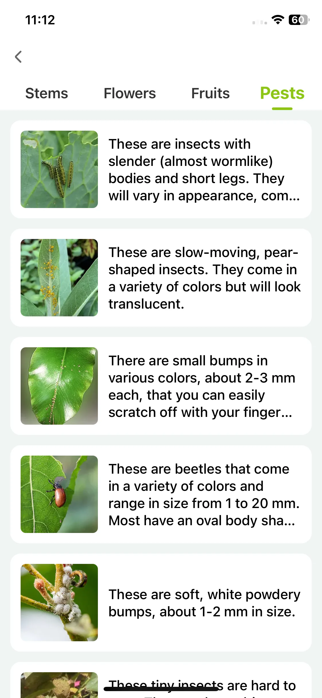 Test Image 7