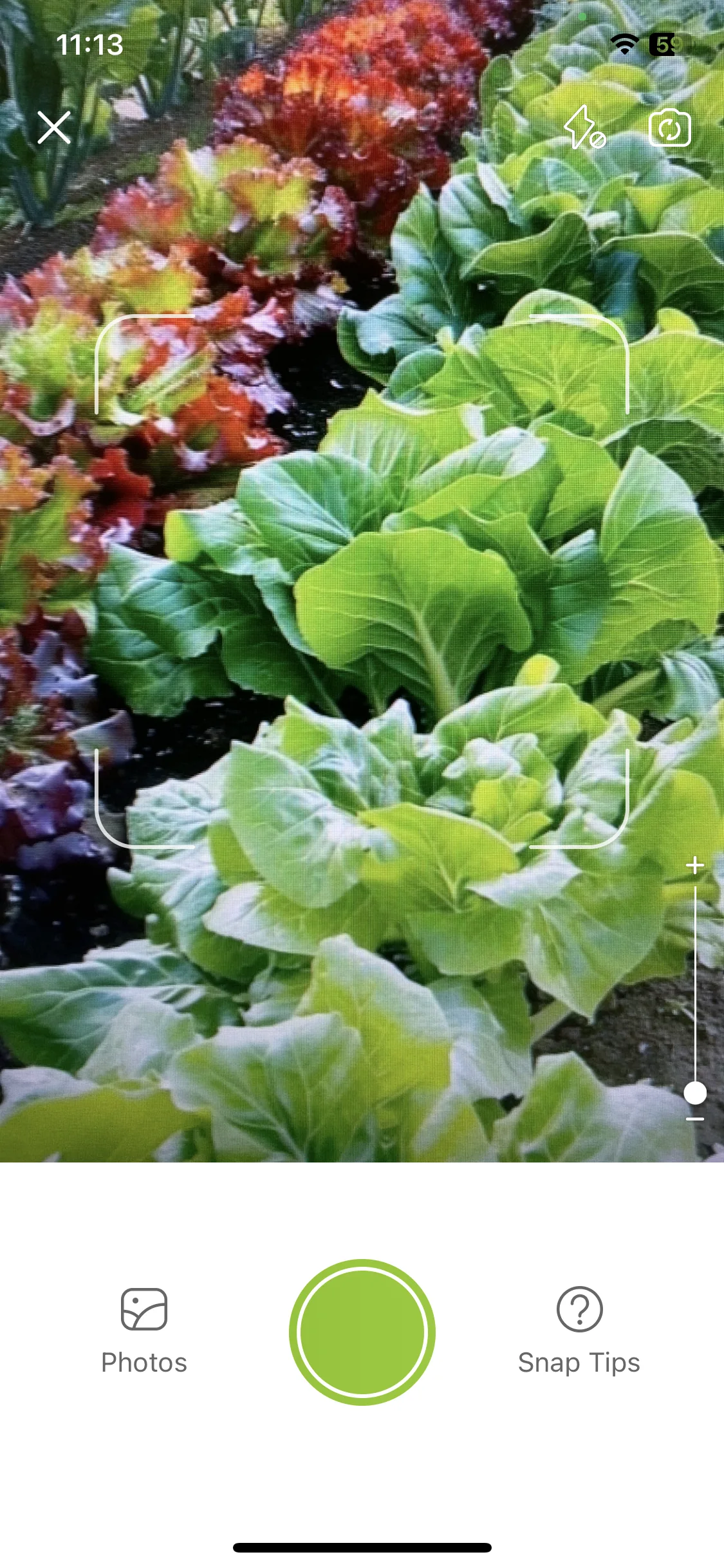 Test Image 2