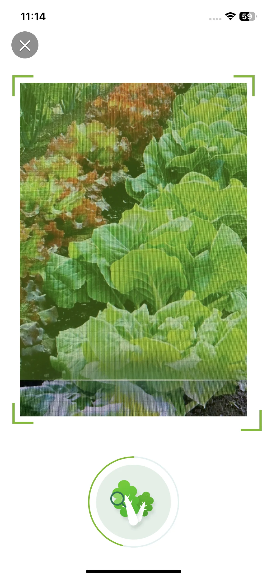 Test Image 3
