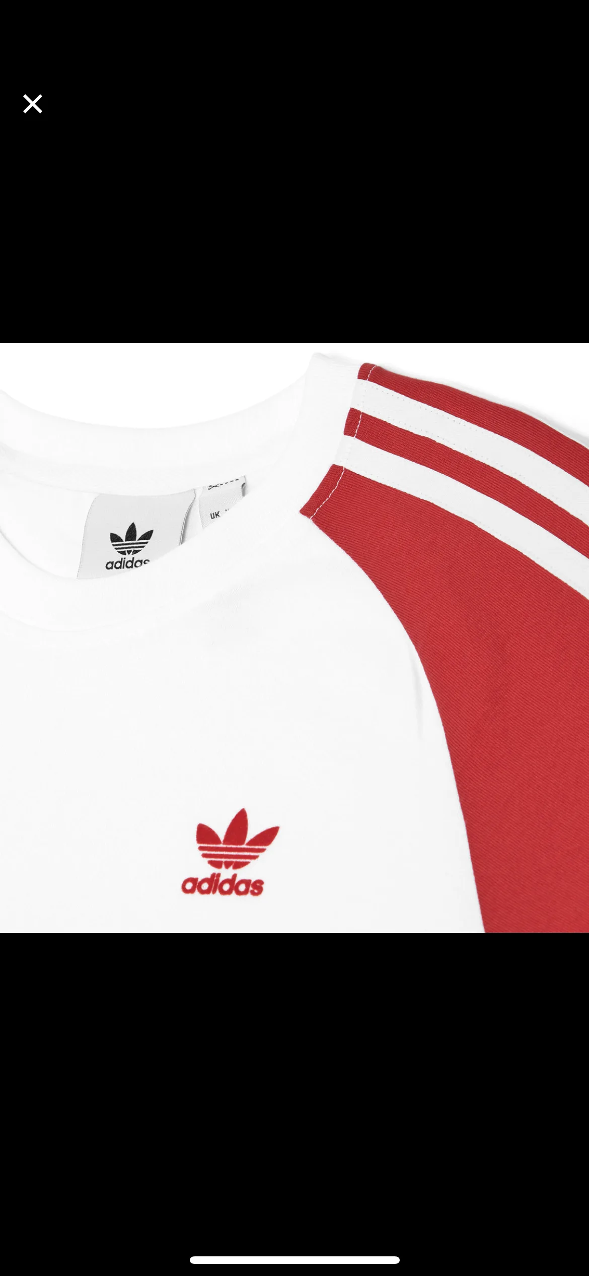 Test Image 16