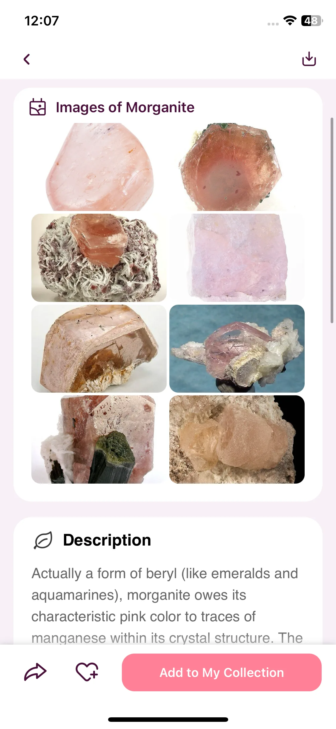 Test Image 3