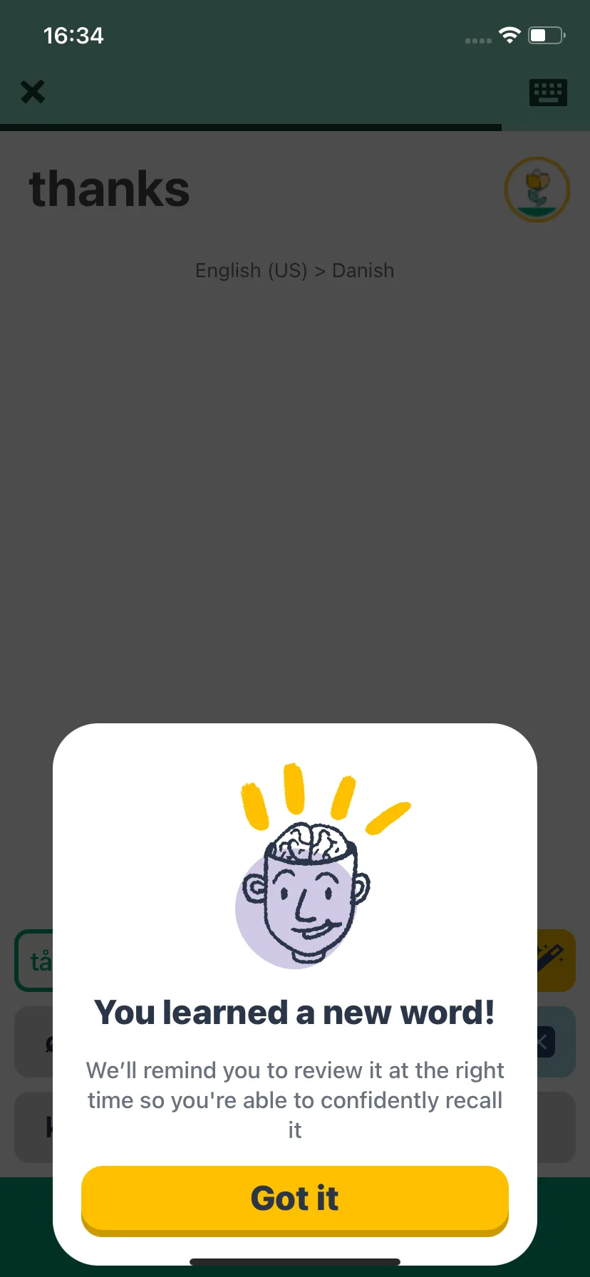 Test Image 31
