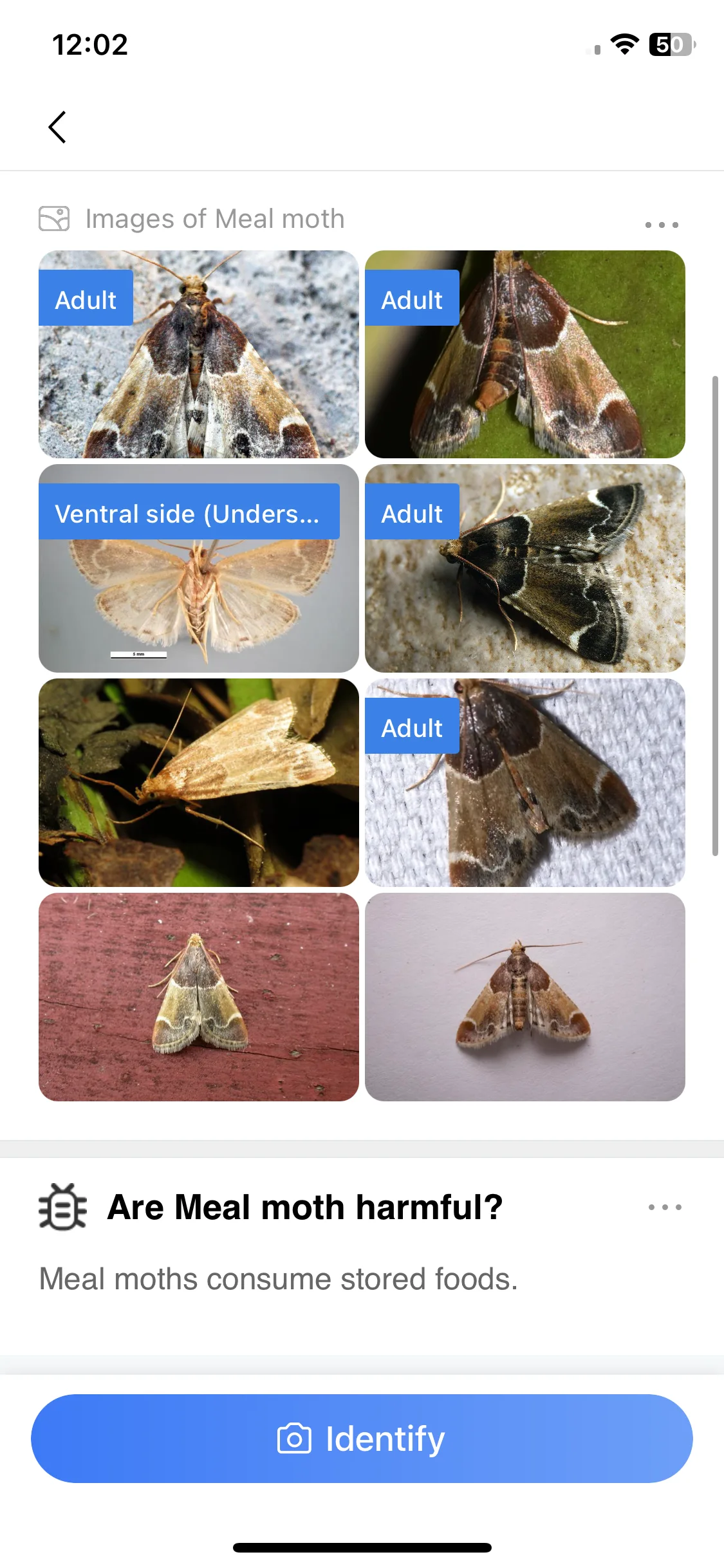 Test Image 5