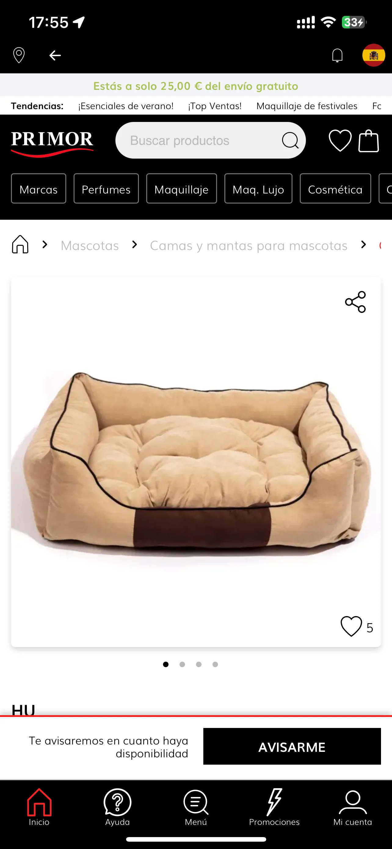 Test Image 10