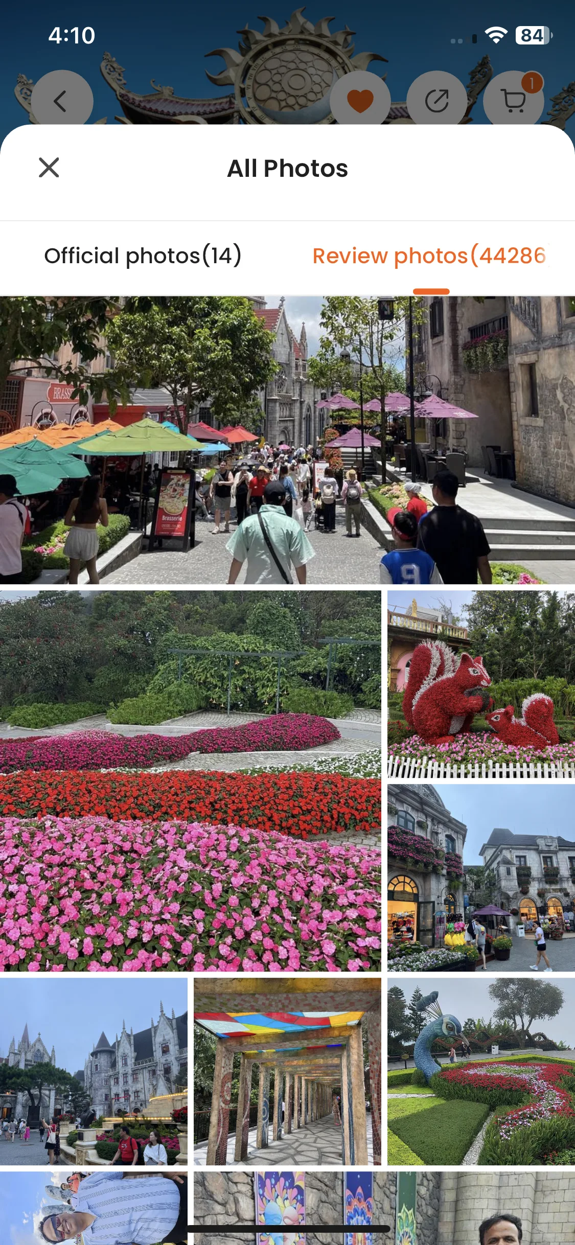 Test Image 19