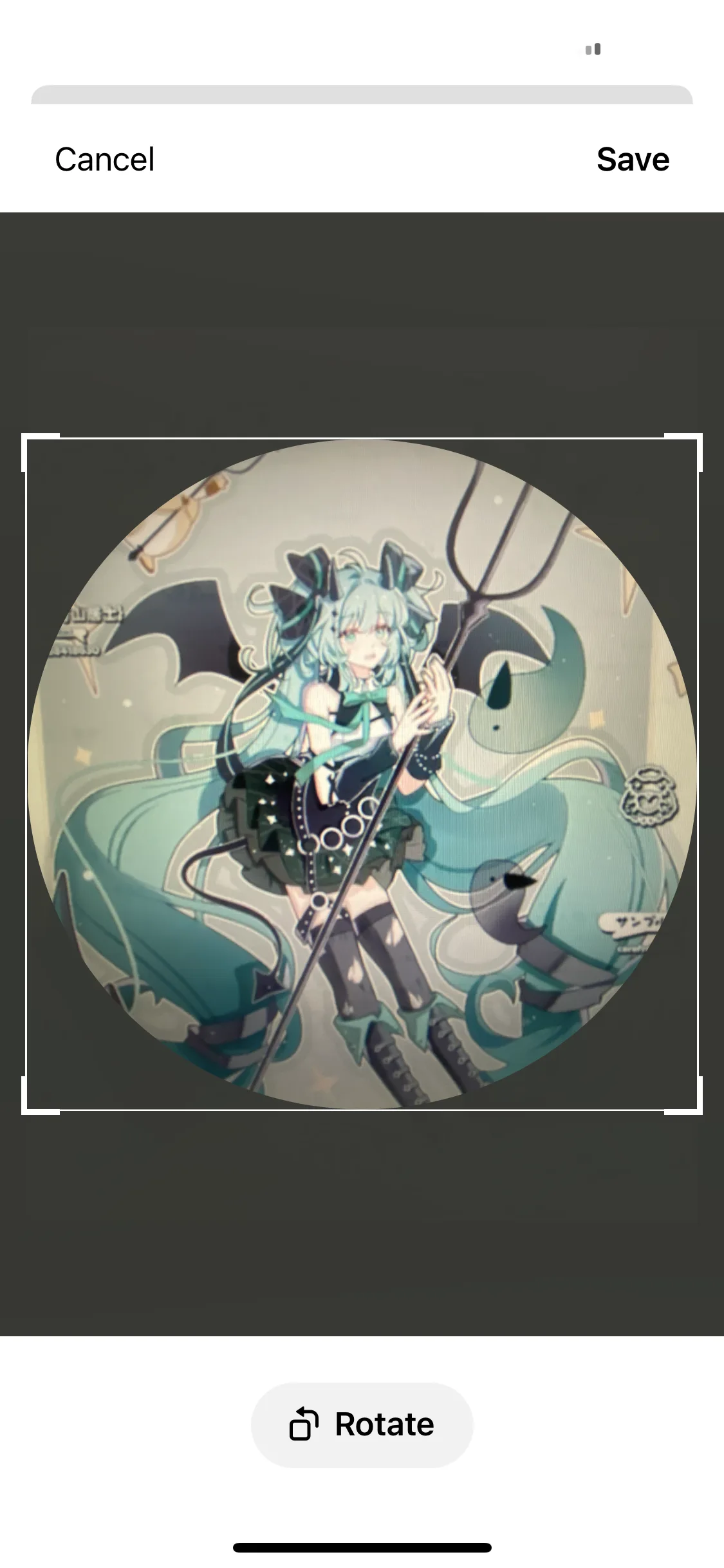 Test Image 13