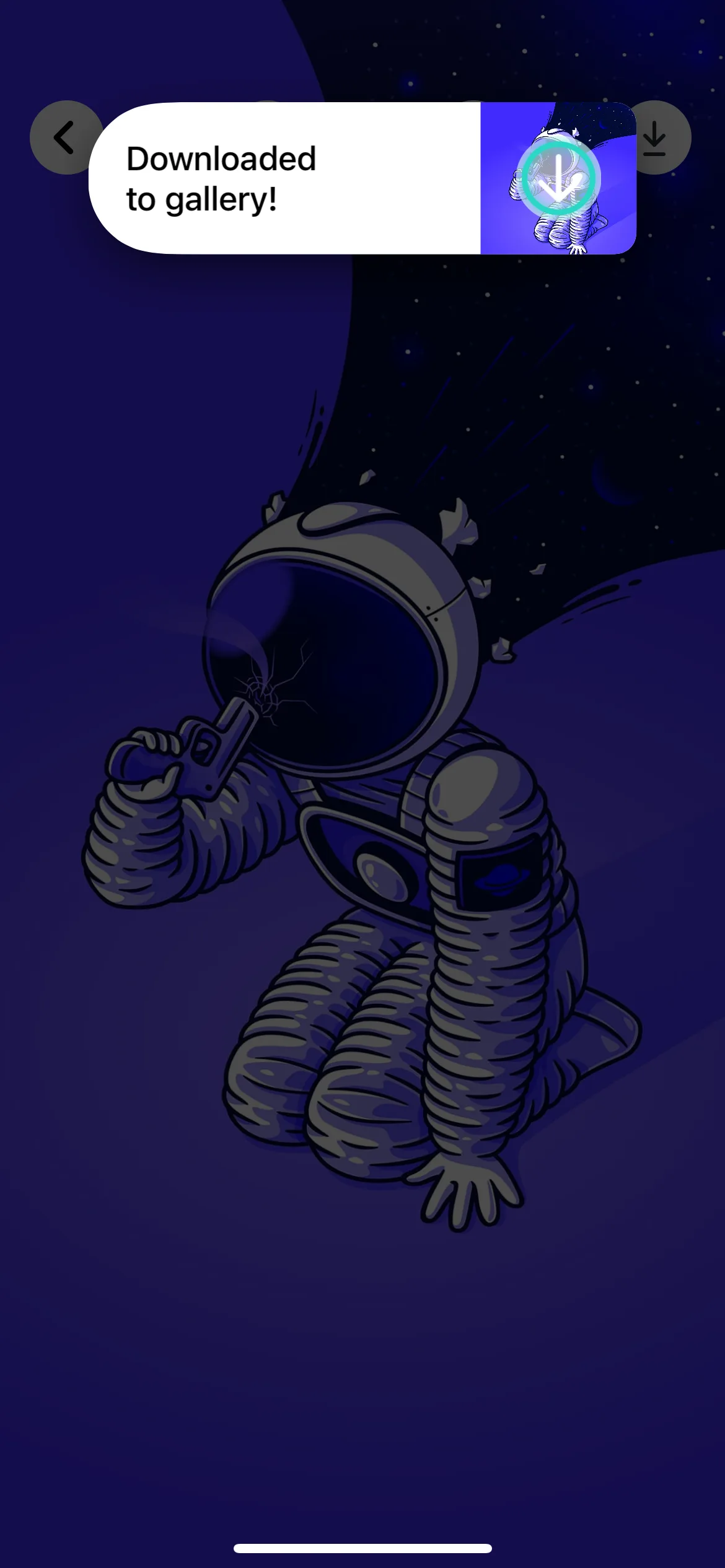 Test Image 8