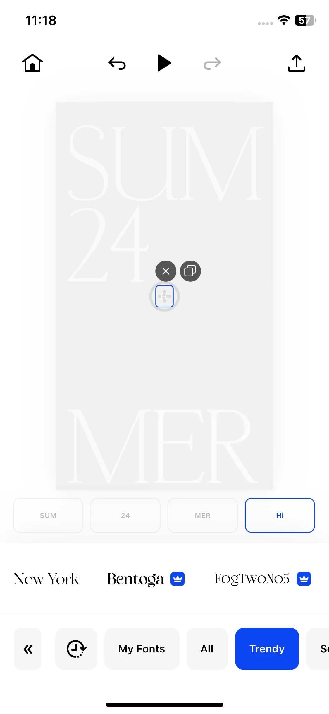 Test Image 21