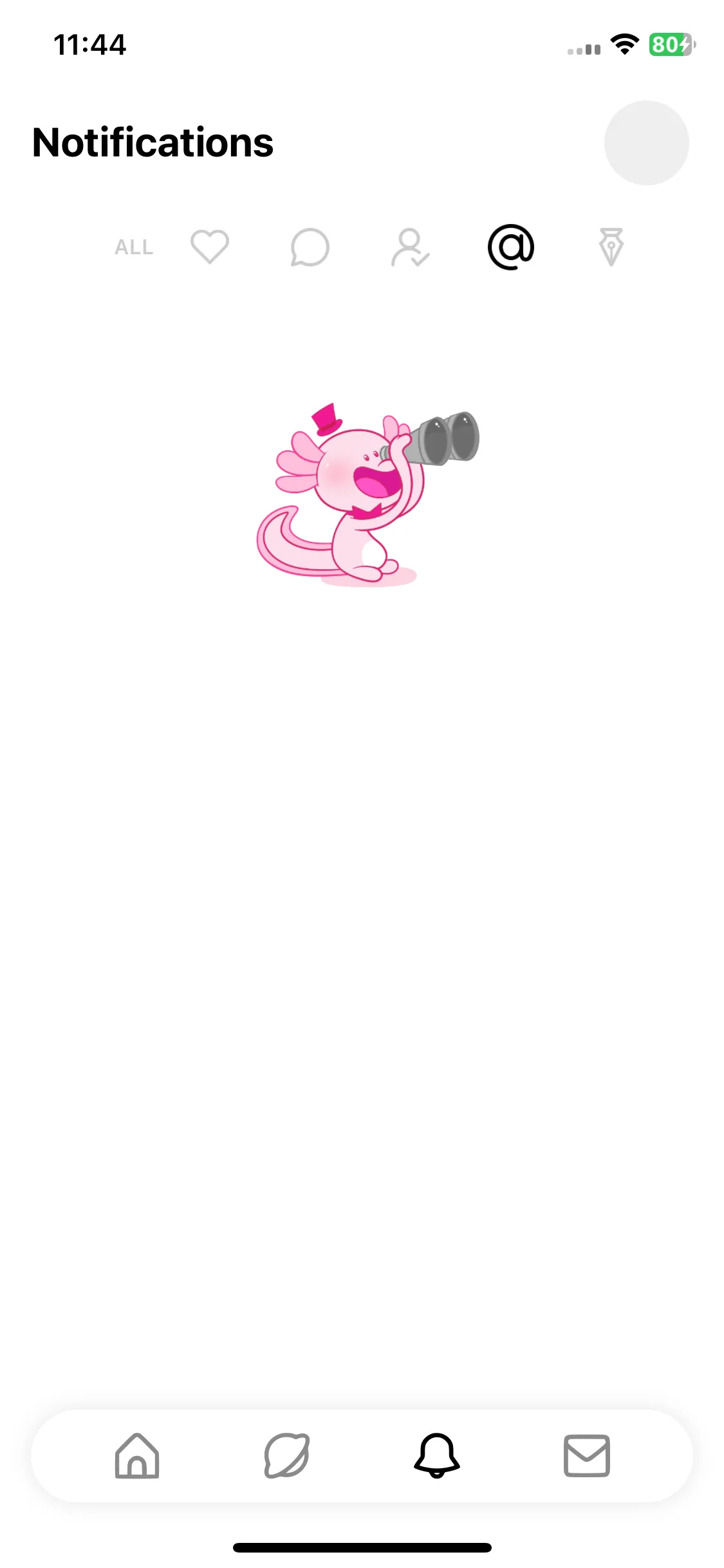 Test Image 5