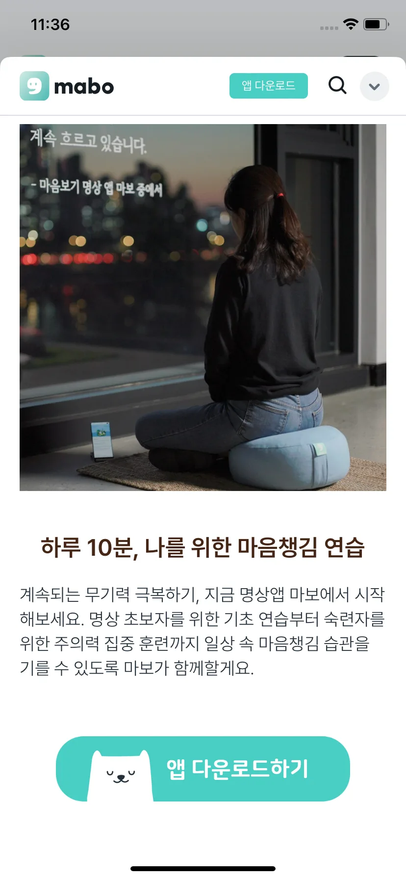 Test Image 11