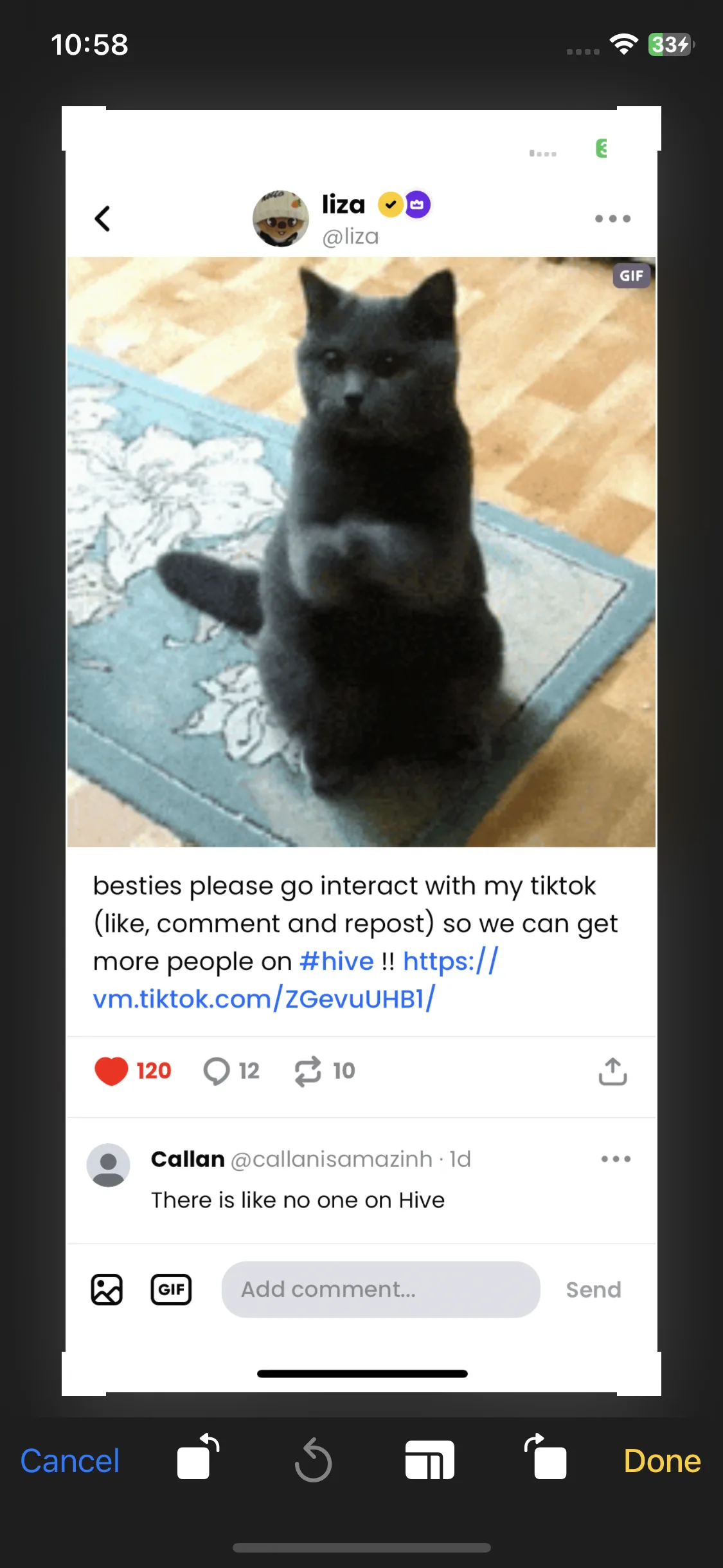 Test Image 11