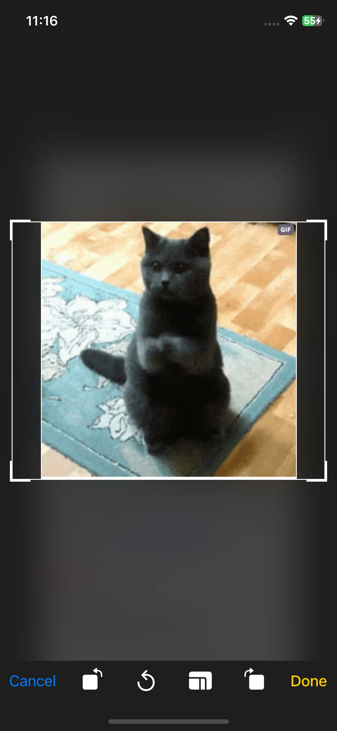 Test Image 5