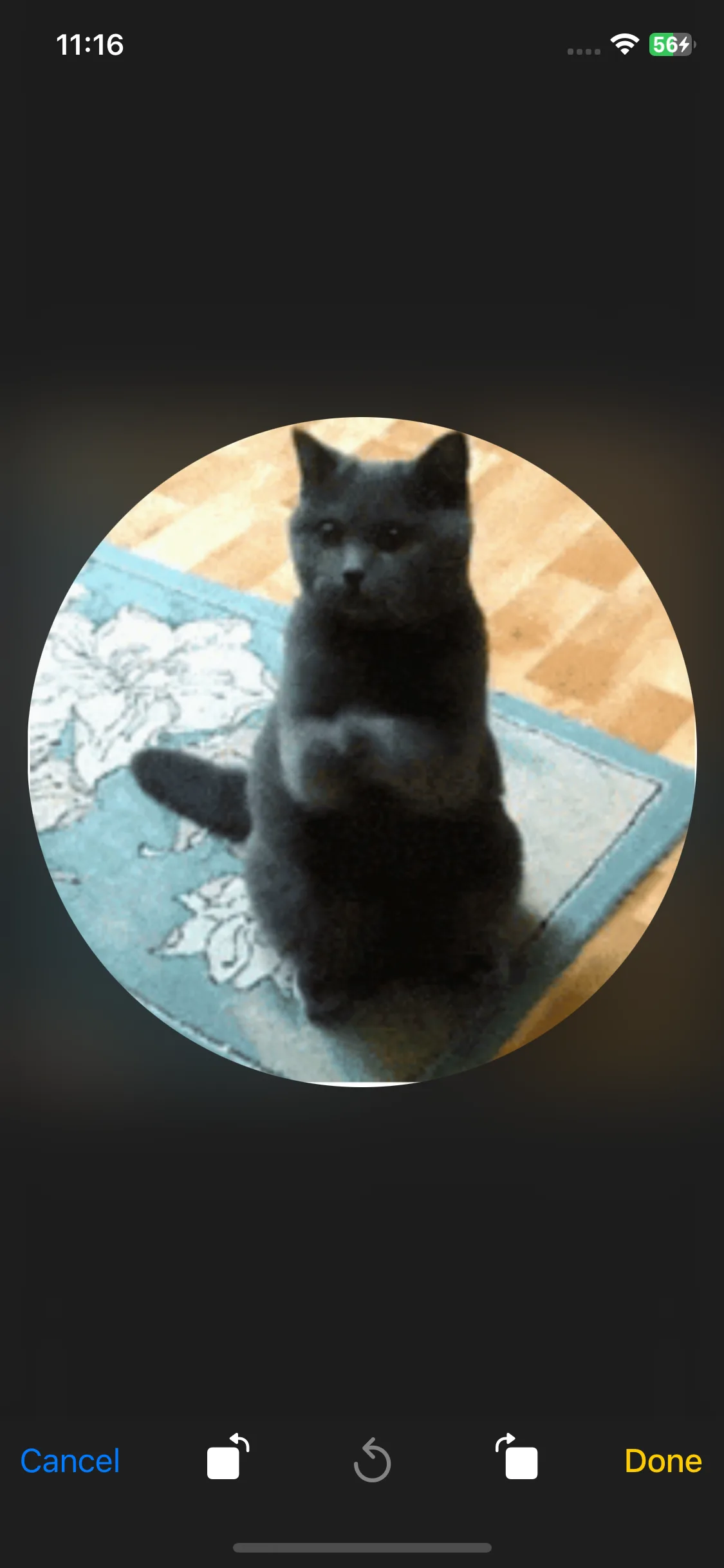 Test Image 6