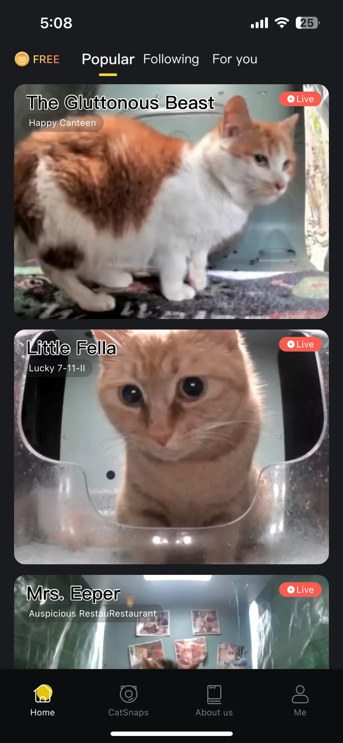 Test Image 10