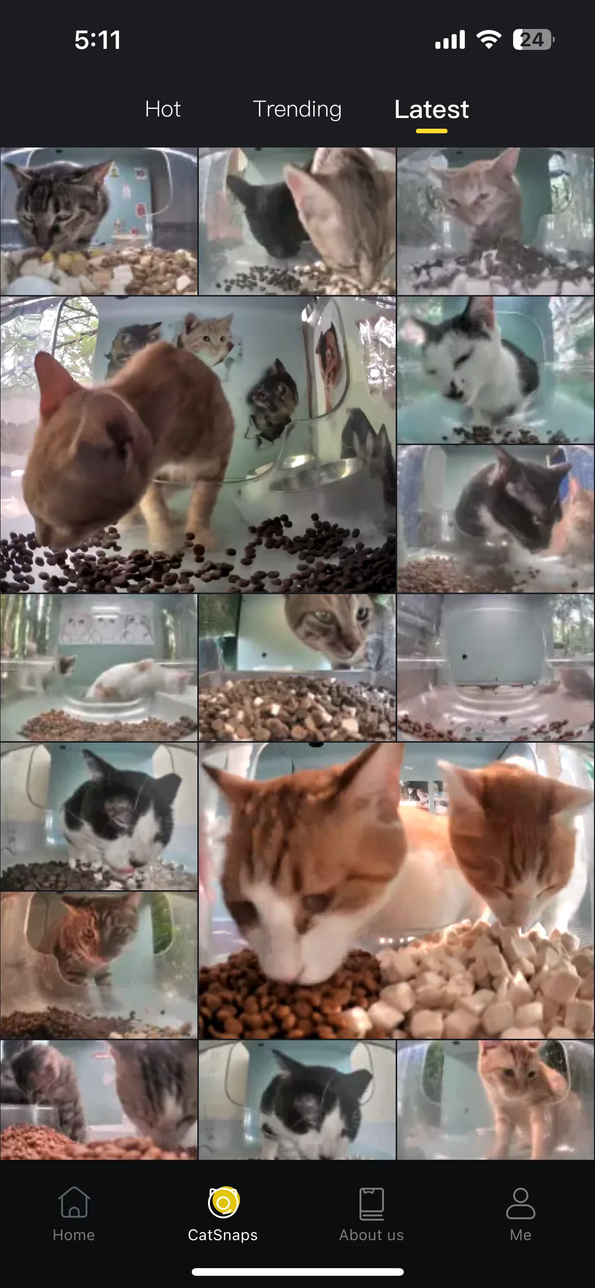Test Image 8