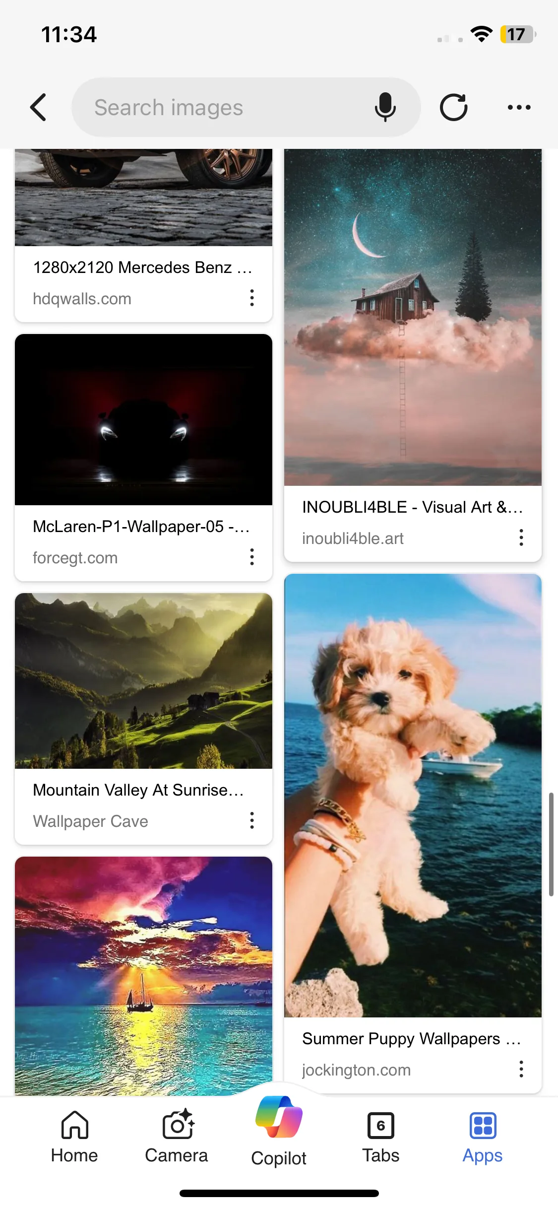 Test Image 11
