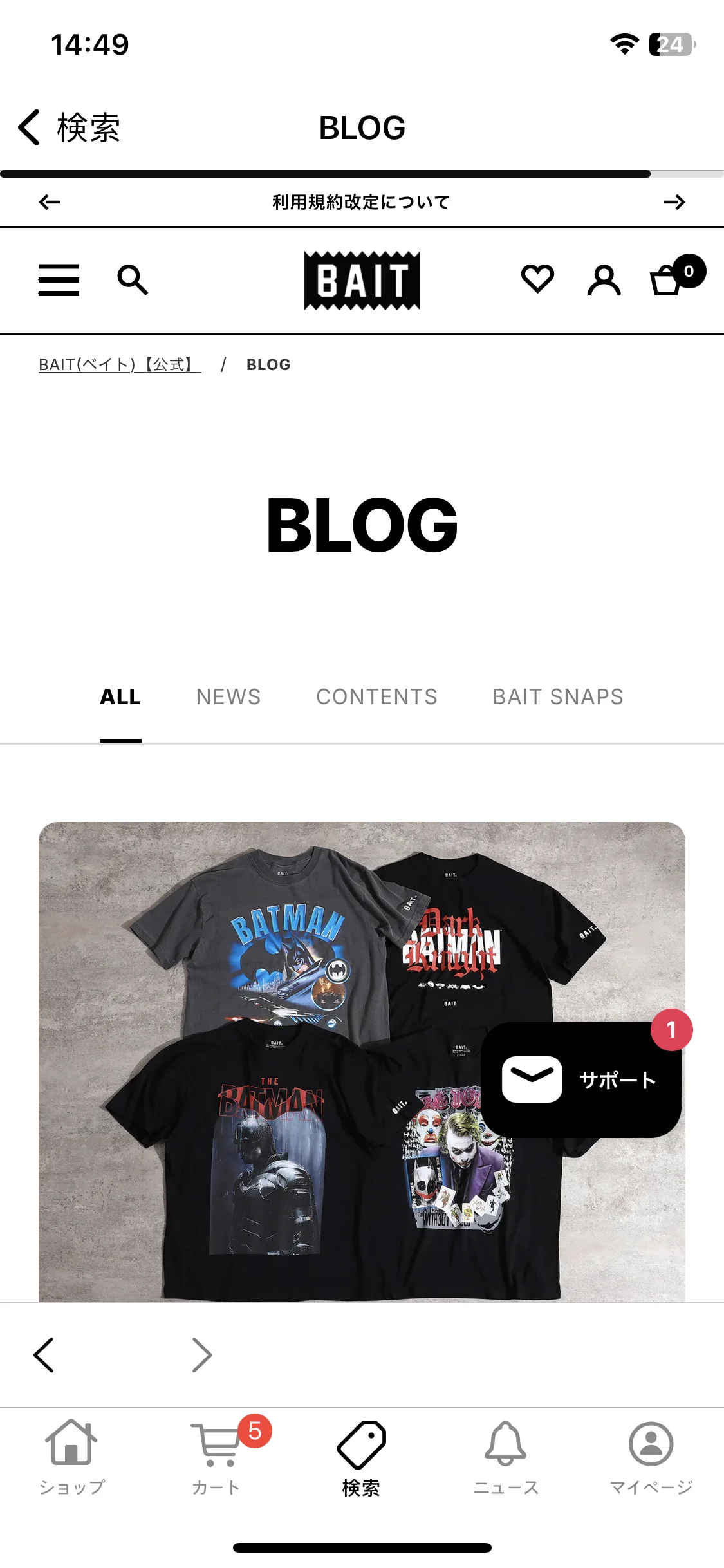 Test Image 13