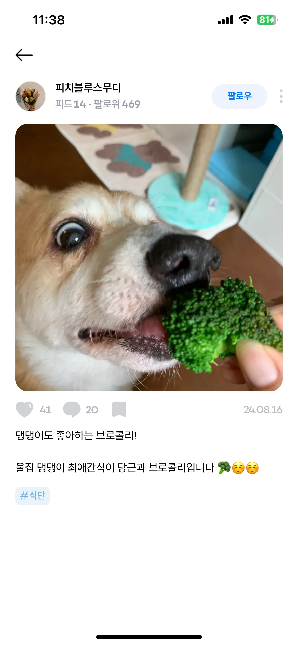 Test Image 5