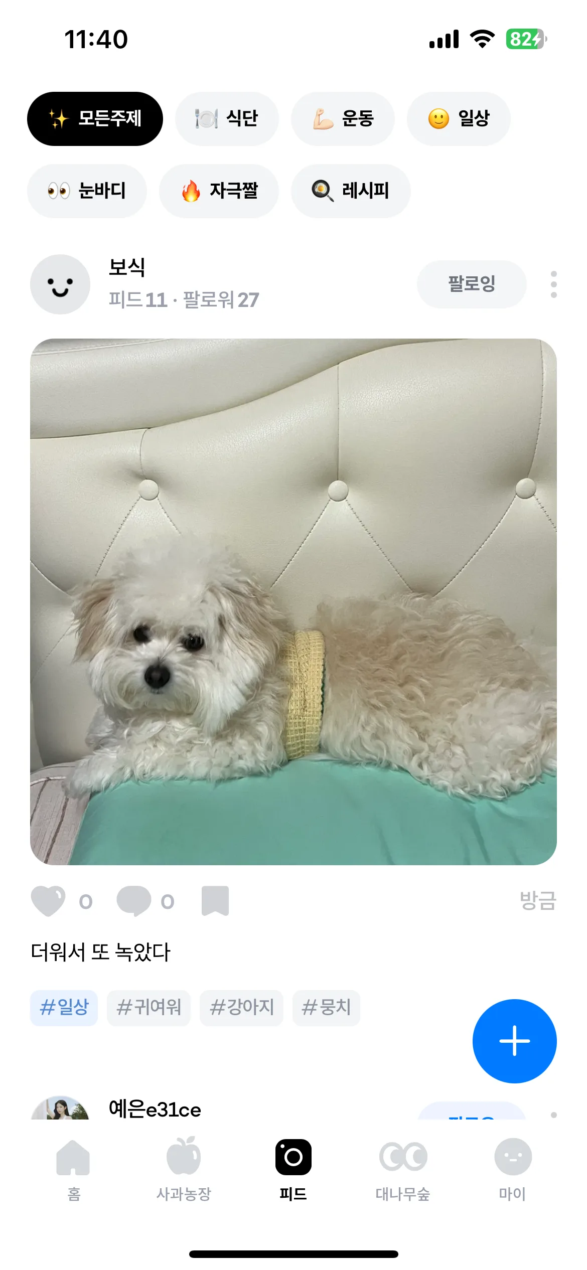 Test Image 8
