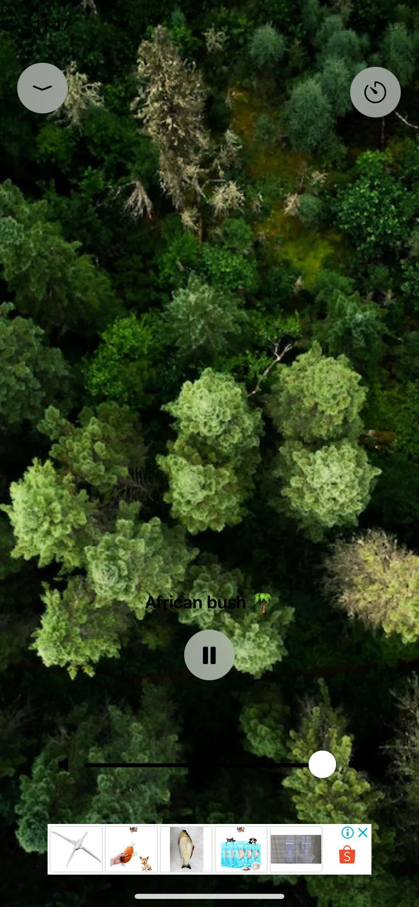 Test Image 8