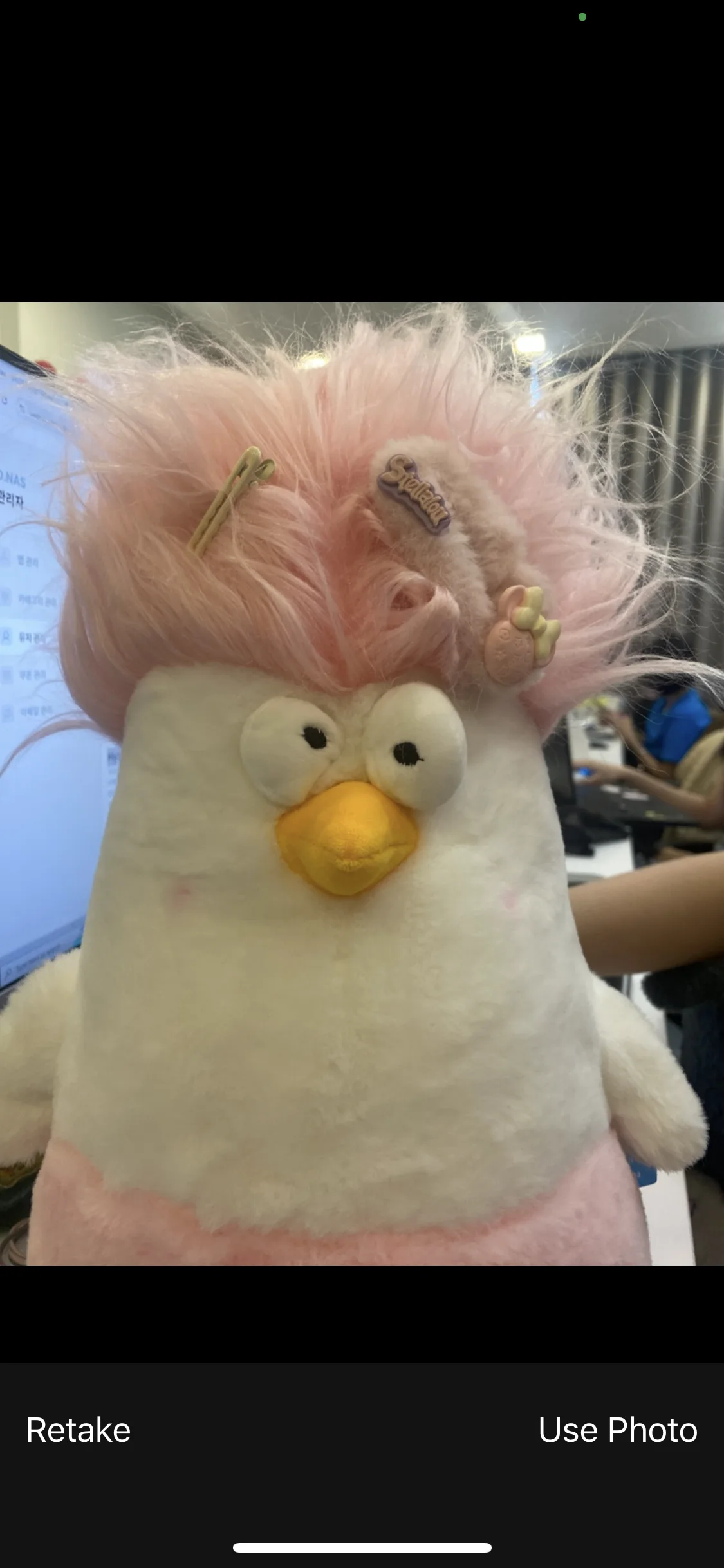 Test Image 5