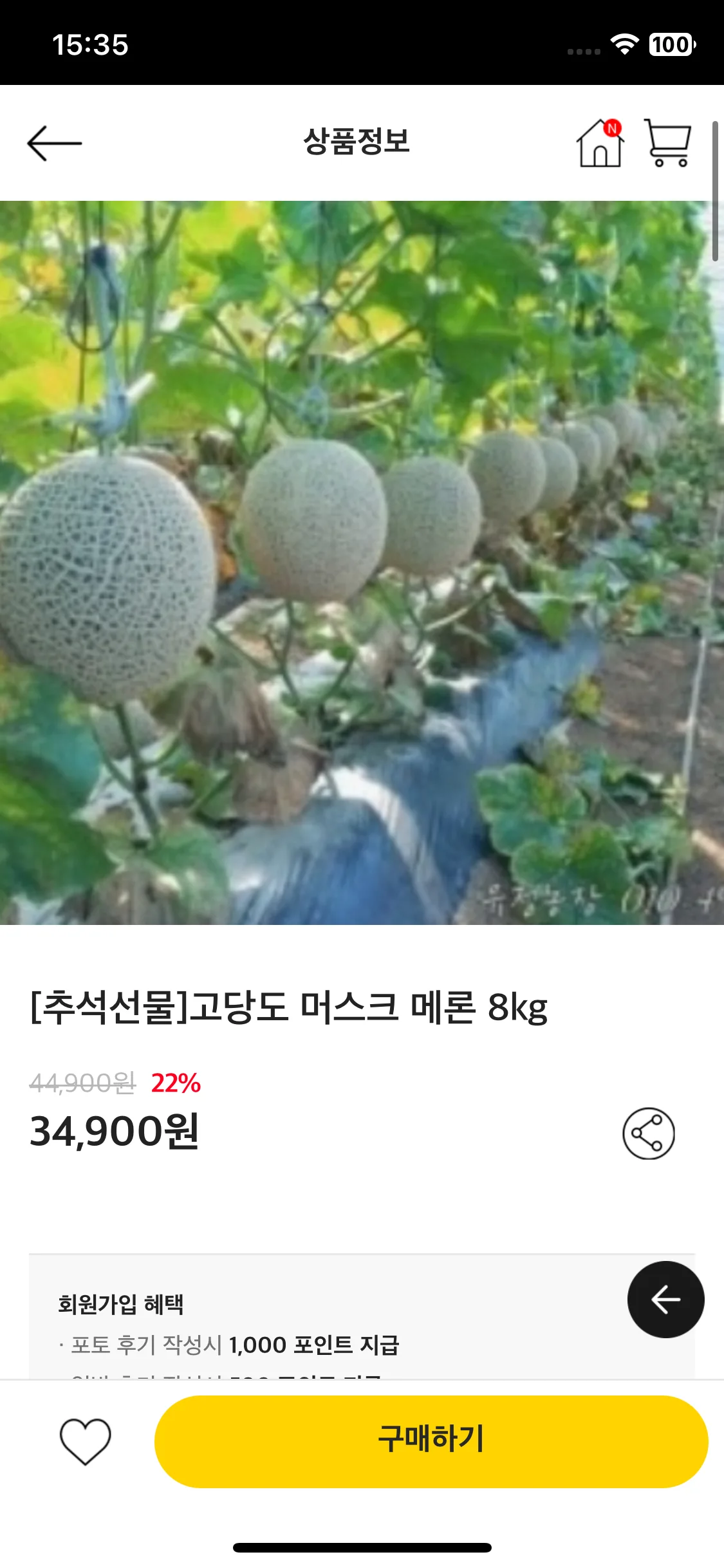 Test Image 1