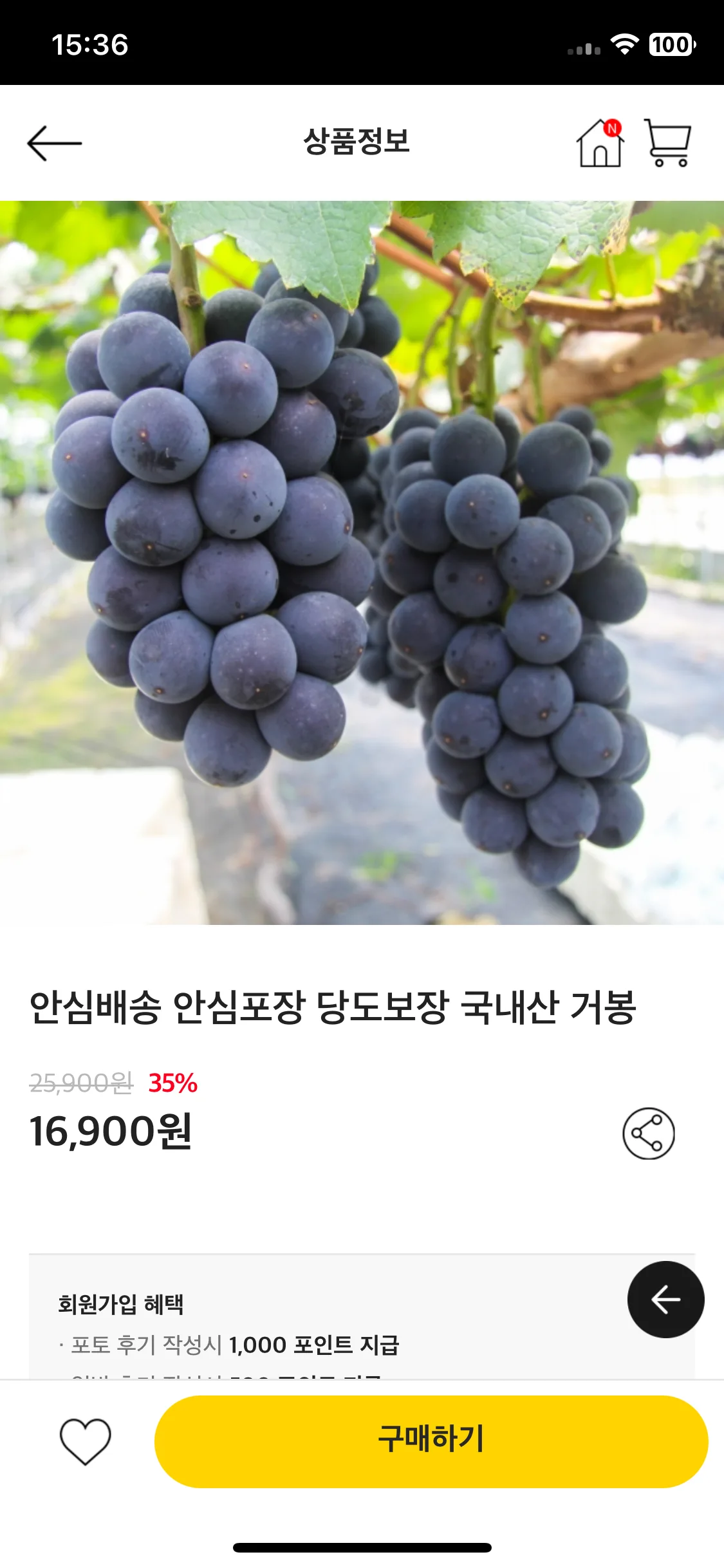 Test Image 9