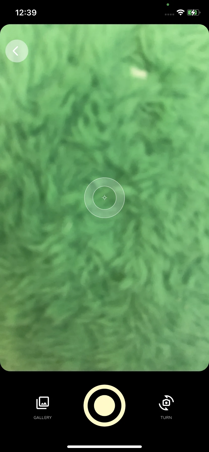 Test Image 9