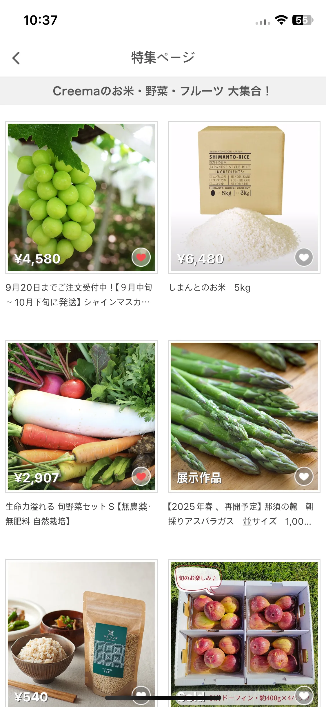 Test Image 11