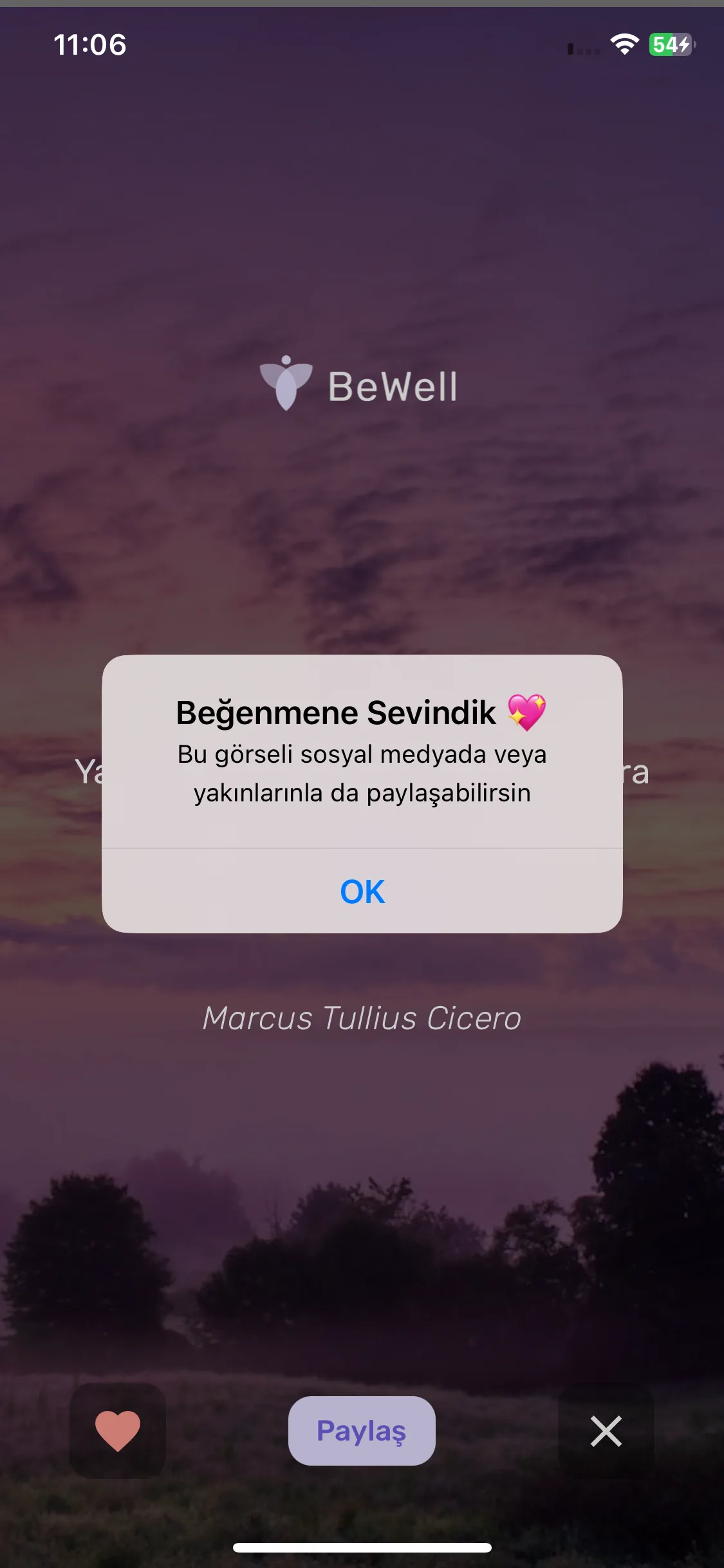 Test Image 7