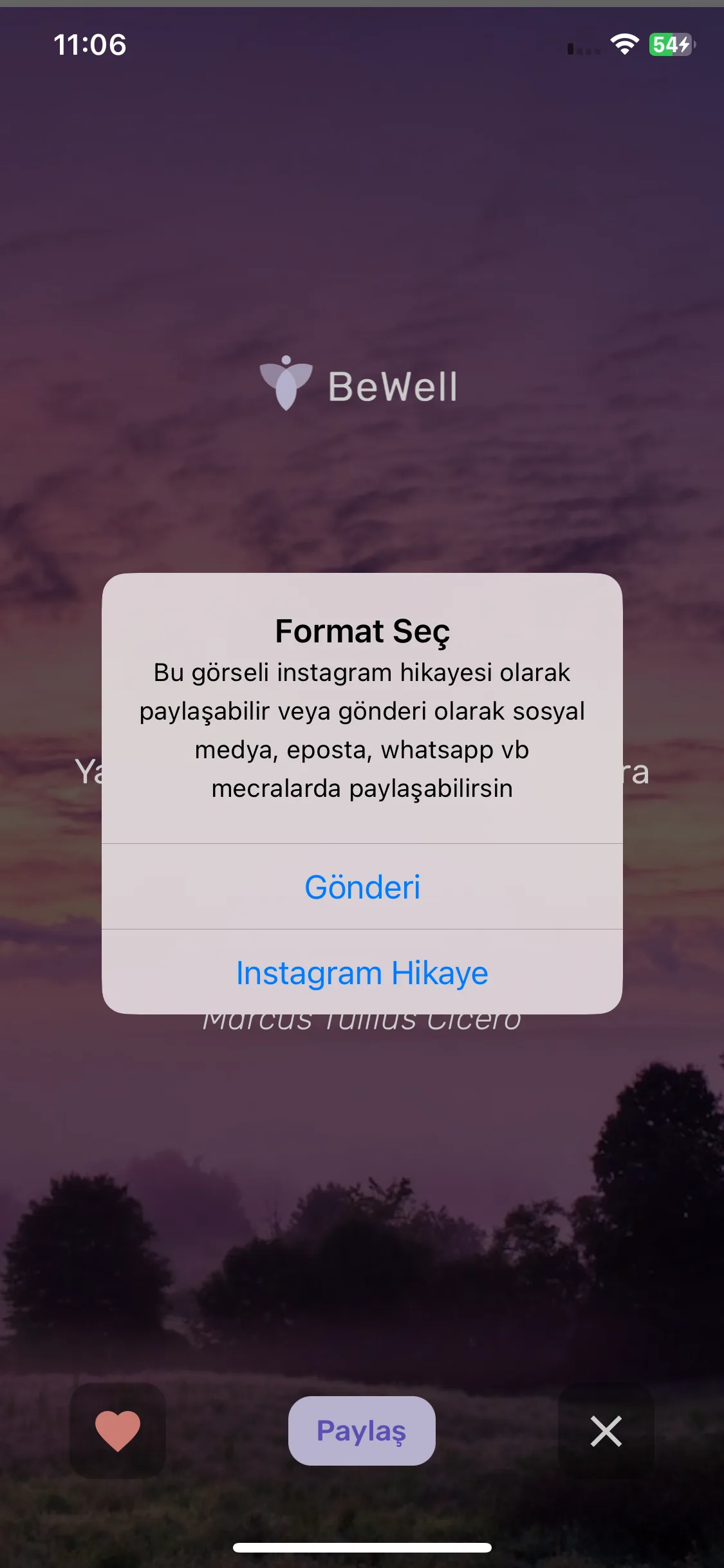 Test Image 9