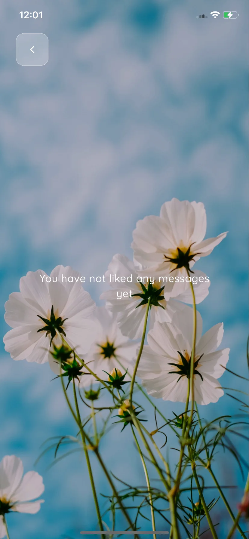 Test Image 5