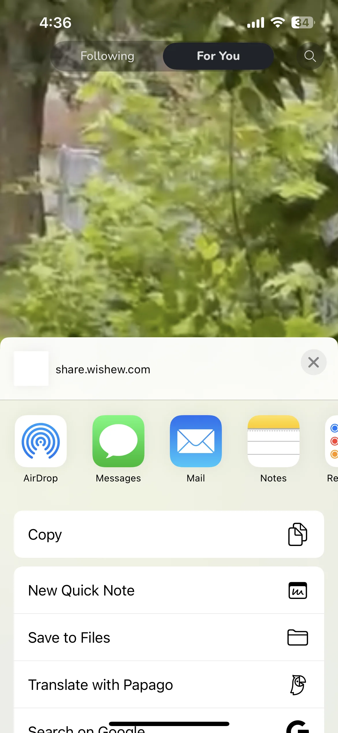 Test Image 14