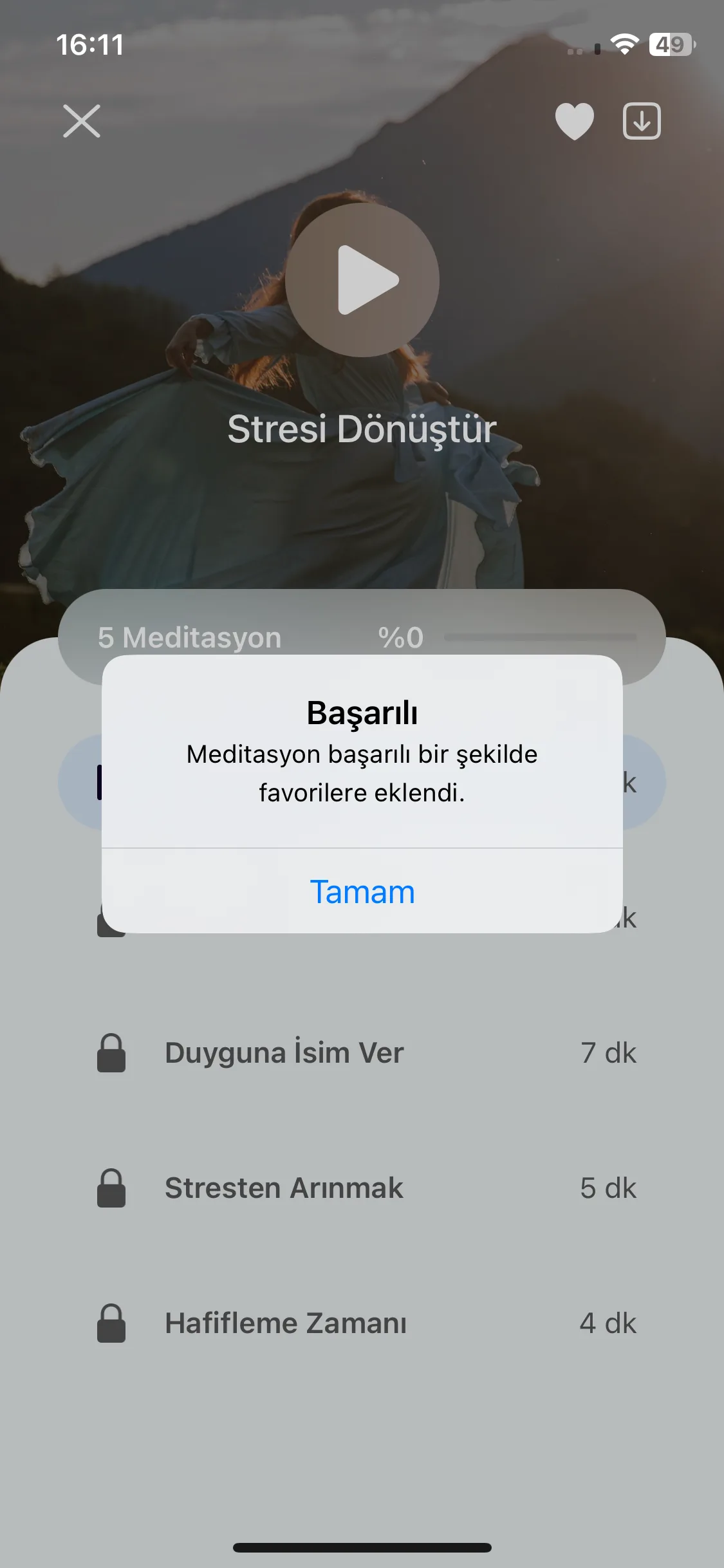 Test Image 13