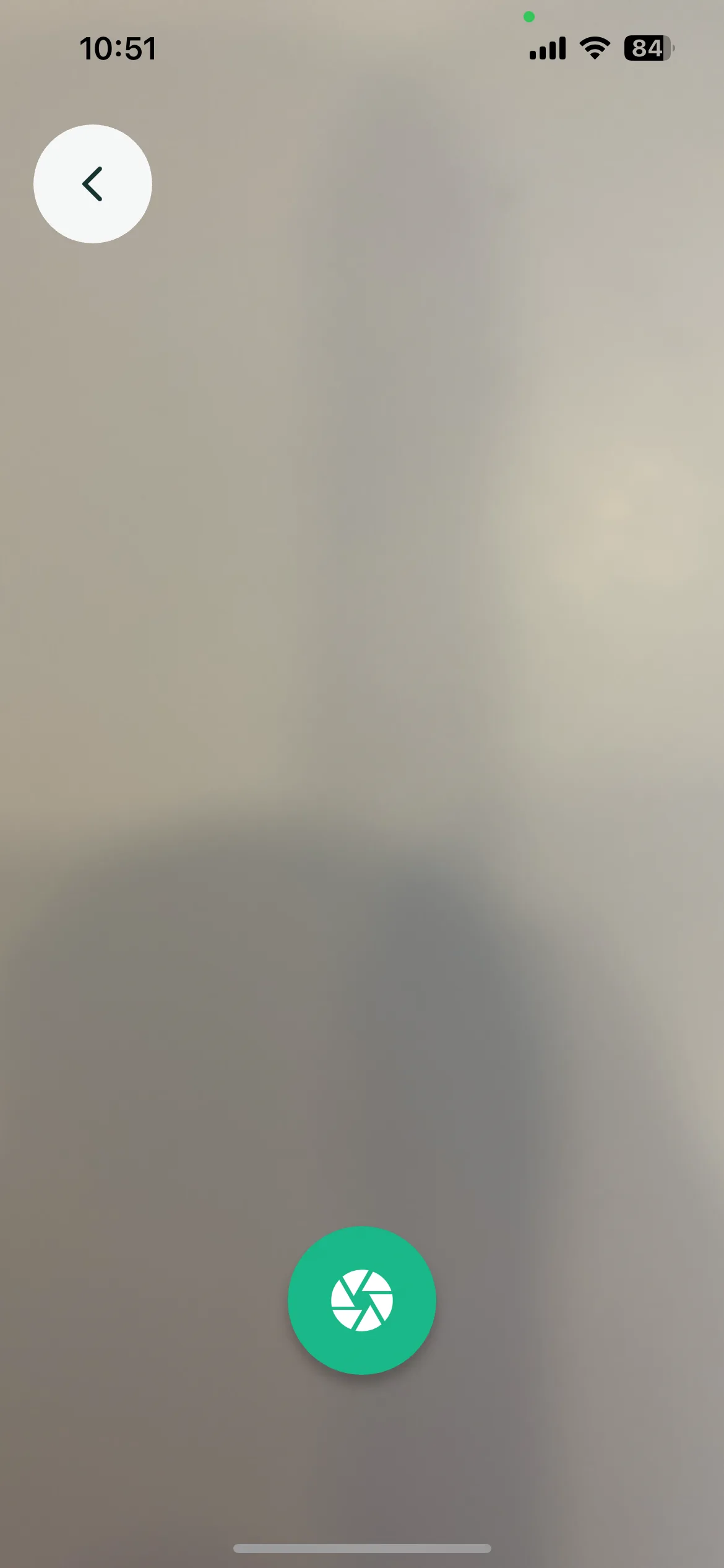 Test Image 5