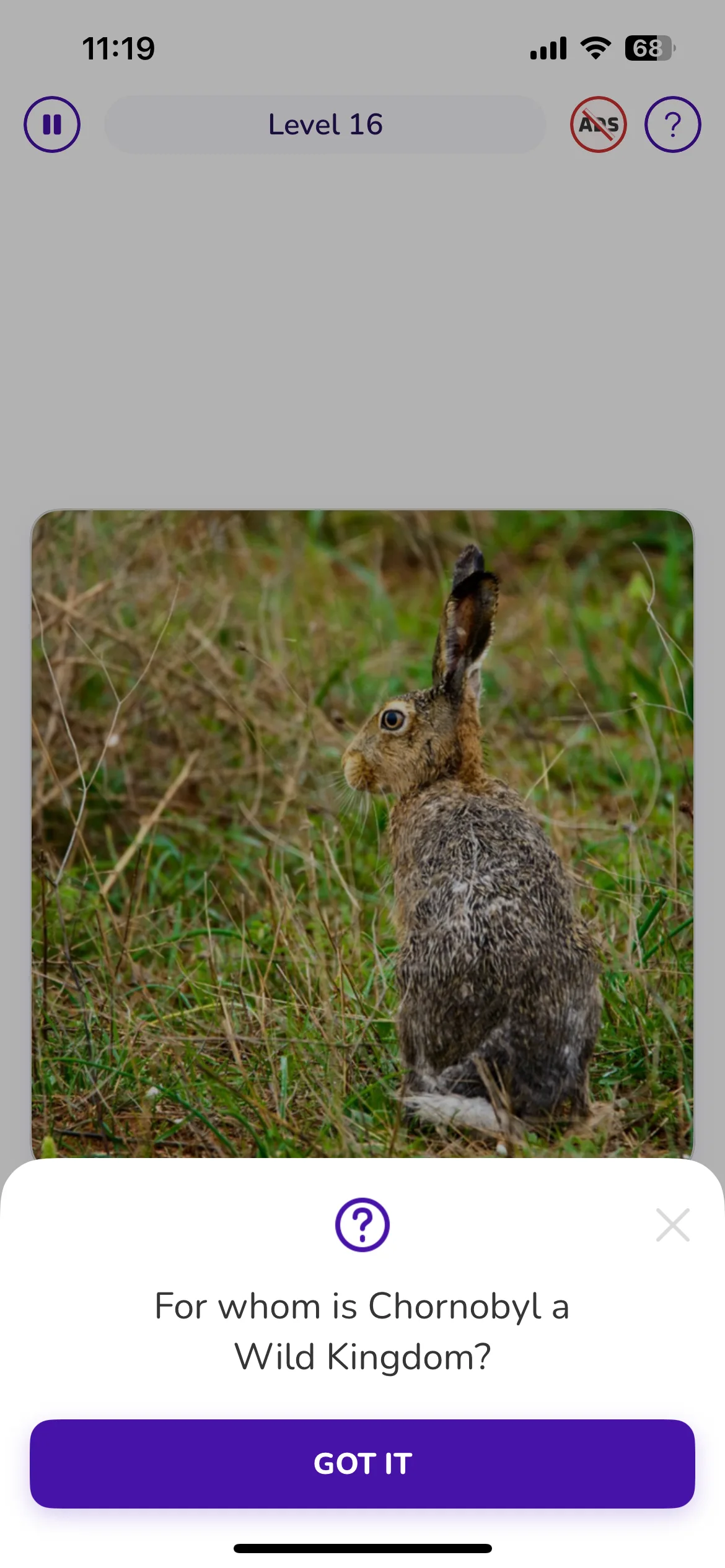 Test Image 15